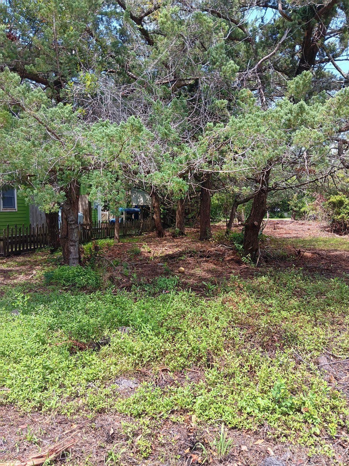 The perfect lot in the Friendly Ocracoke Ridge subdivision (with access from both Sunset Dr and Cabana Dr.) for an RV or trailer, or to build a primary, 2nd or rental home. Located just outside the heart of the village, yet within walking & biking distance to the coffee shop, several restaurants, shopping and Silver Lake Harbor. No restrictive covenants. Municipal water meter available for purchase from the Ocracoke Sanitary District.