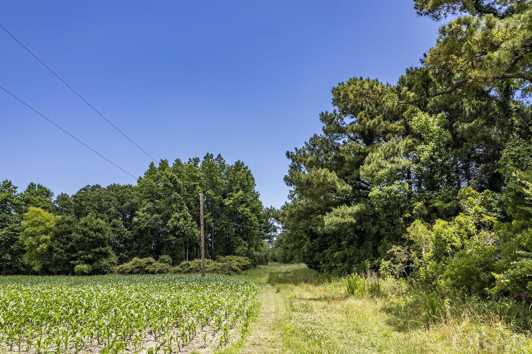 Forbes Road, Jarvisburg, NC 27947, ,Lots/land,For sale,Forbes Road,123033
