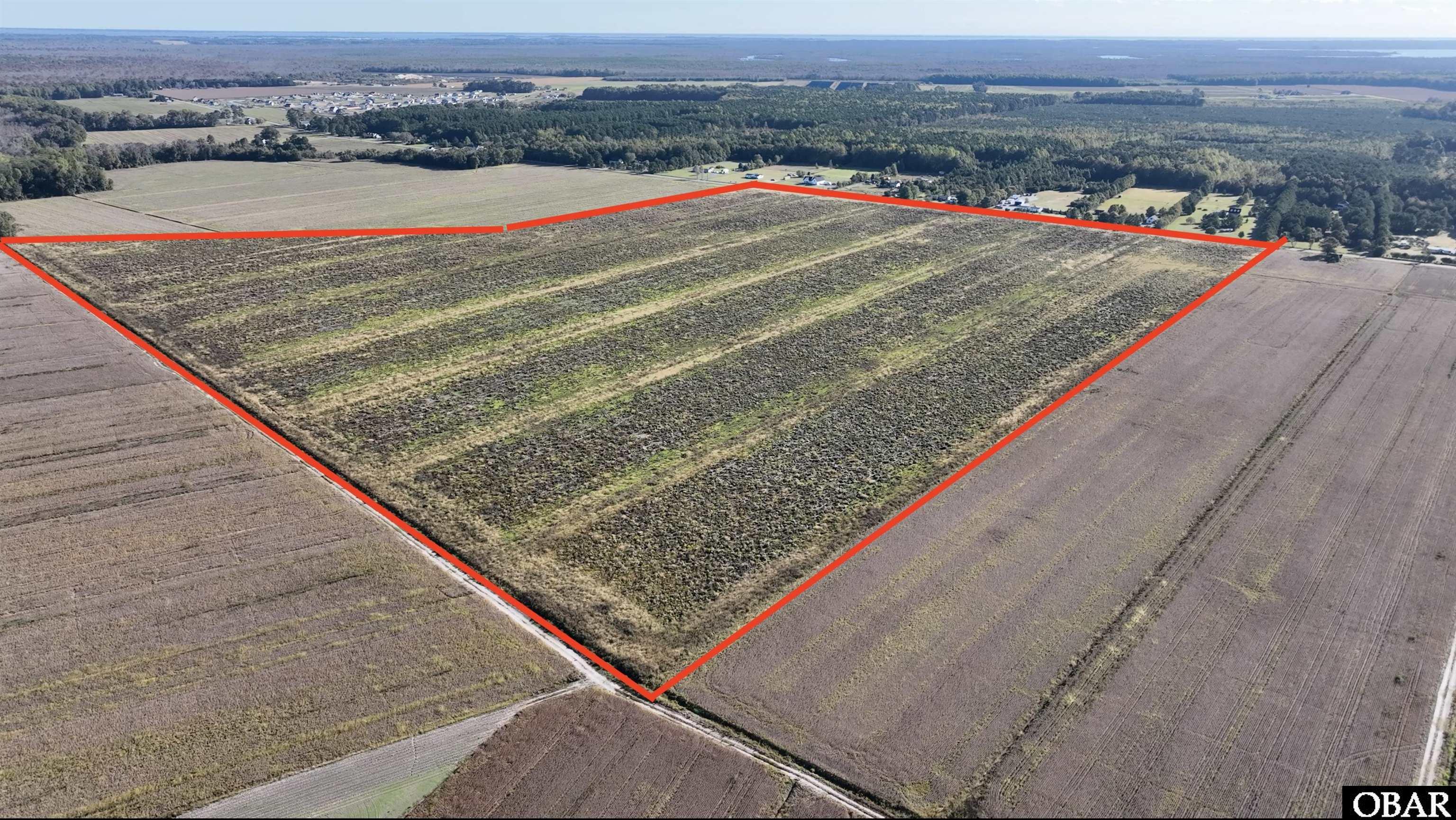 467 Trotman Road, Camden, NC 27921, ,Lots/land,For sale,Trotman Road,123688