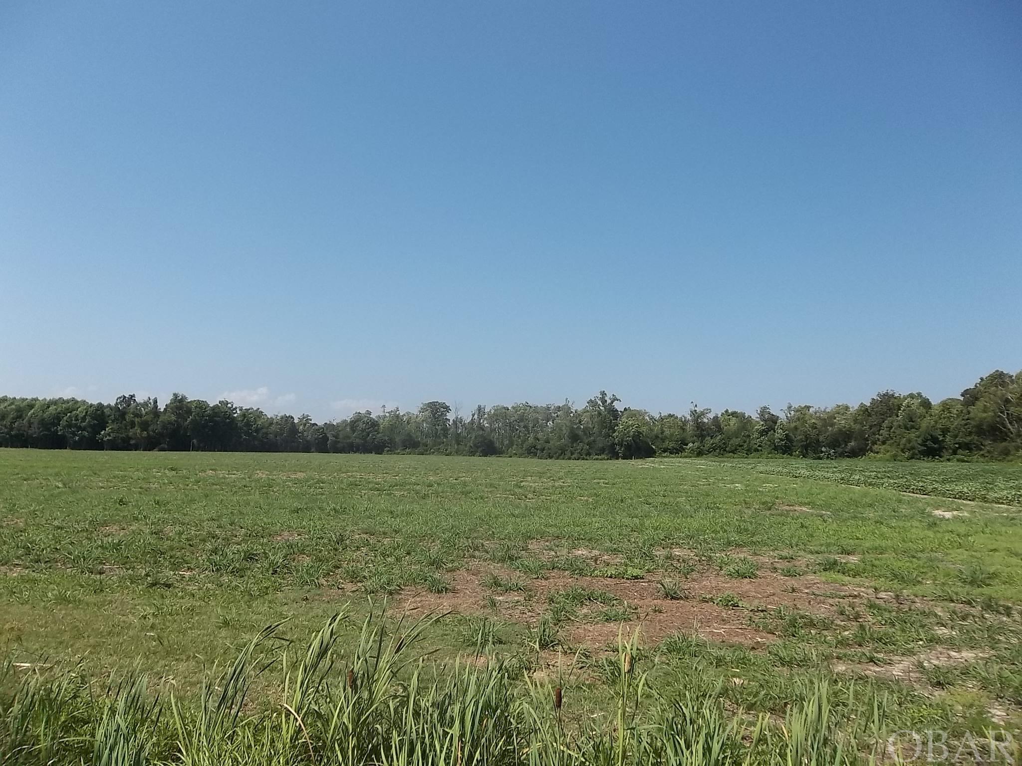 10 Acres with no HOA or deed restrictions. Perfect for your horses or just a place to spread out. This lot is located in a tranquil setting, and you still have an easy commute to Elizabeth City, Outer Banks, or the Hampton Roads area.   The edge of the ten-acre lot is bordered by a creek that leads to the Pasquotank River. There is a wooded area between the water and the lot that has cool breezes and plenty of shade. Lots are cleared and ready to build on. The front of the lot is located in an X flood zone  Aerial photos and videos show the entire 100-acre and Parcel.