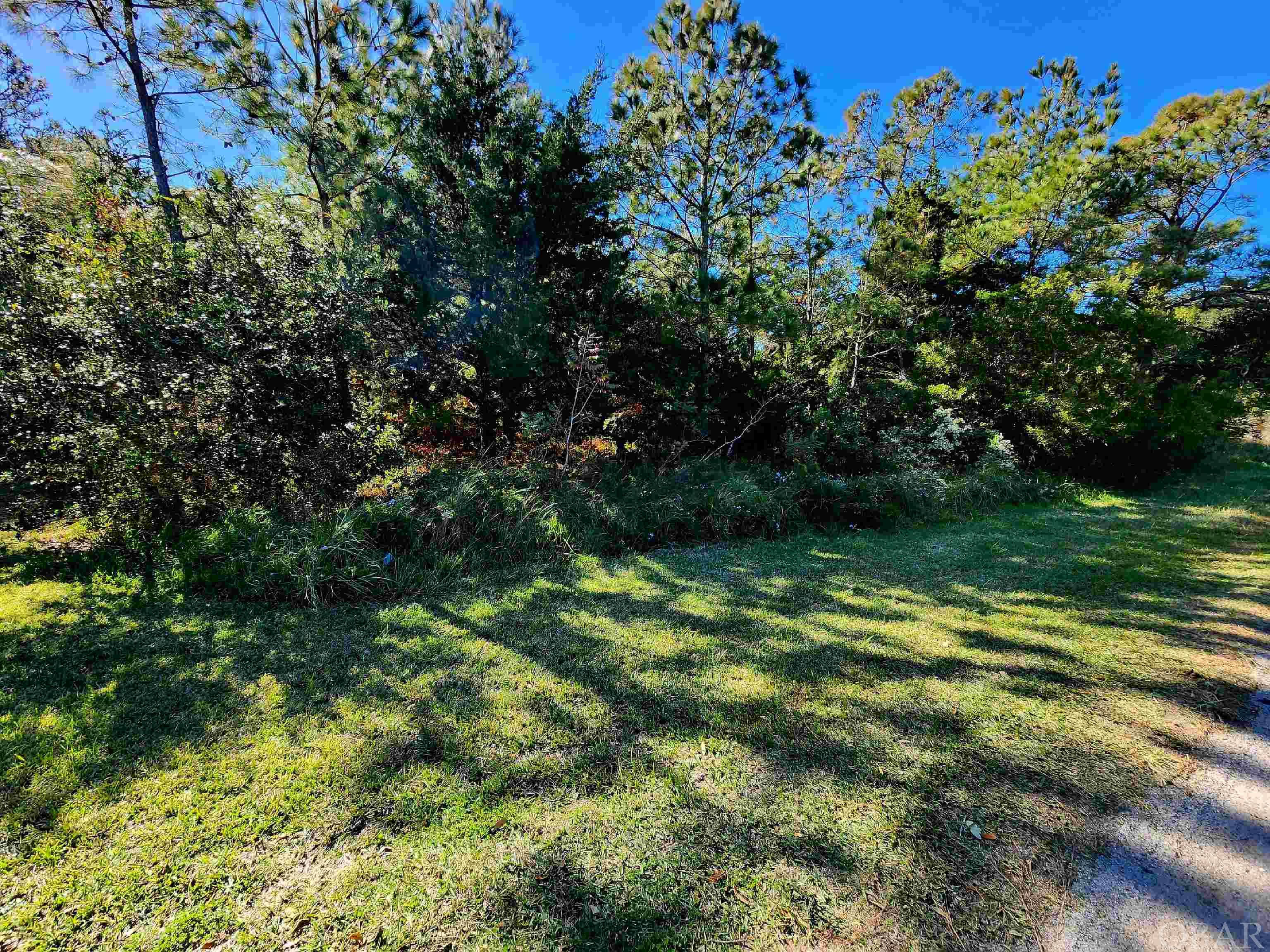 0 Rocky Rollinson Road, Buxton, NC 27920, ,Lots/land,For sale,Rocky Rollinson Road,124068