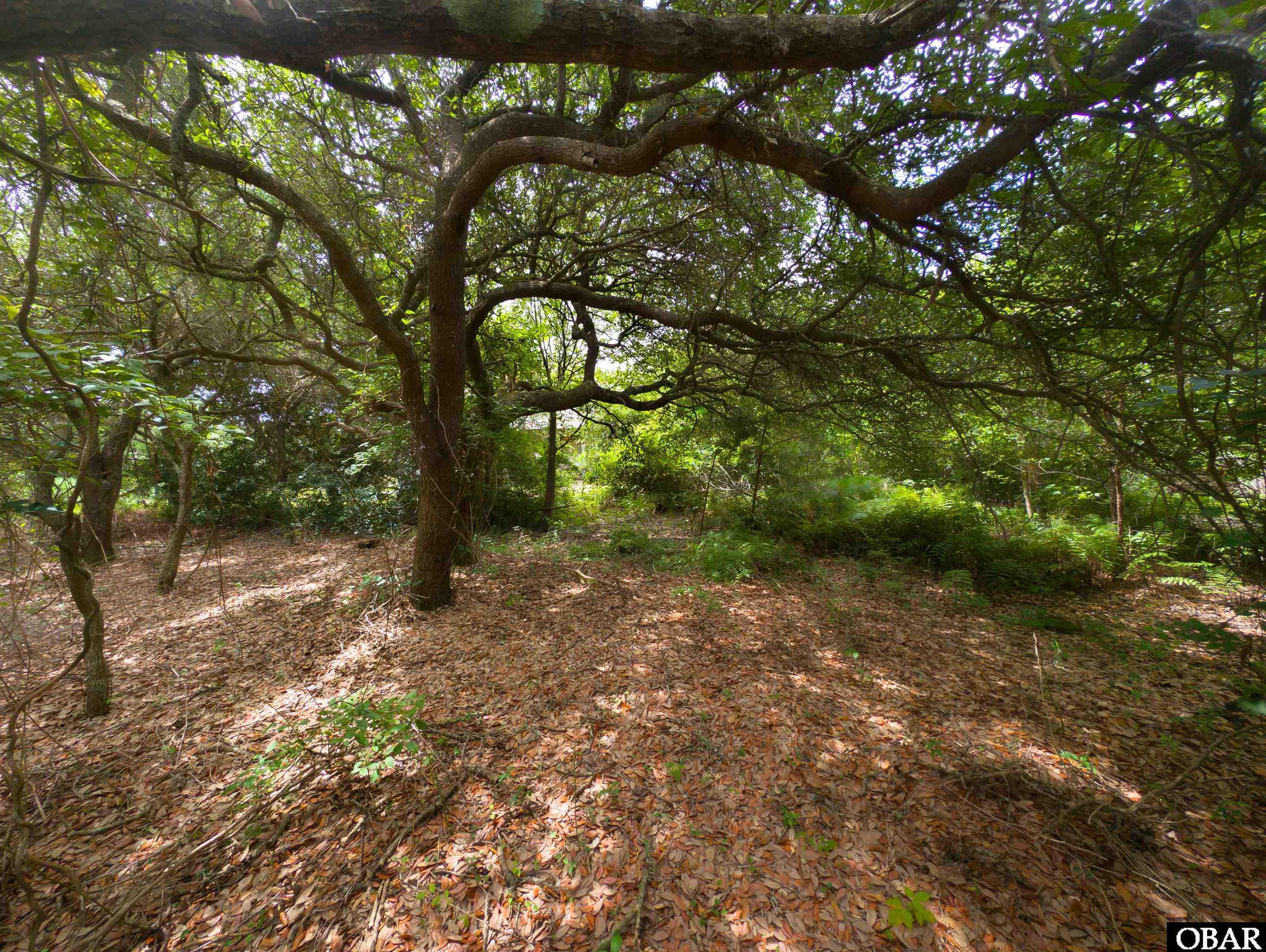 2362 Sandpiper Road, Corolla, NC 27927, ,Lots/land,For sale,Sandpiper Road,124352