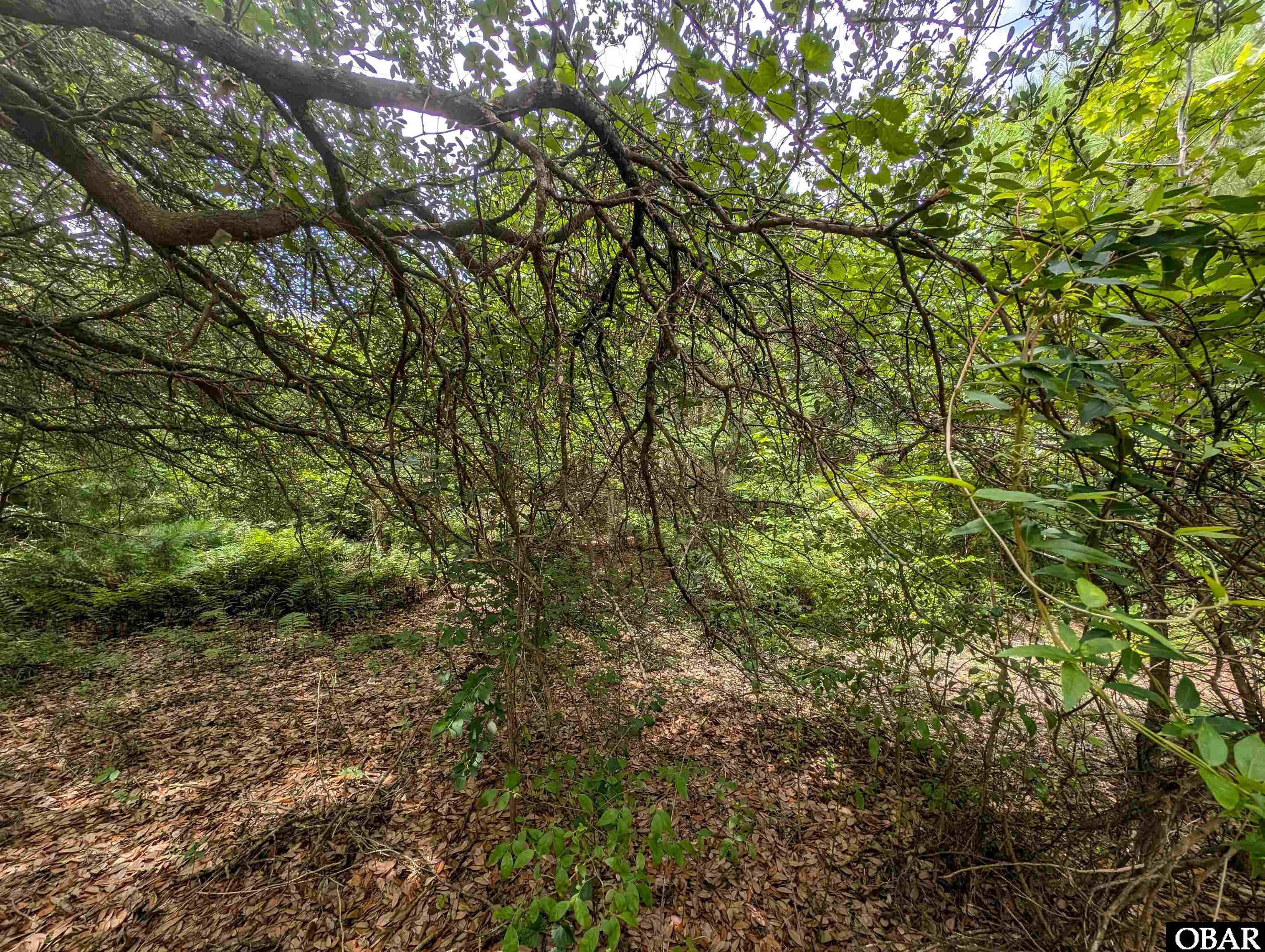 2362 Sandpiper Road, Corolla, NC 27927, ,Lots/land,For sale,Sandpiper Road,124352