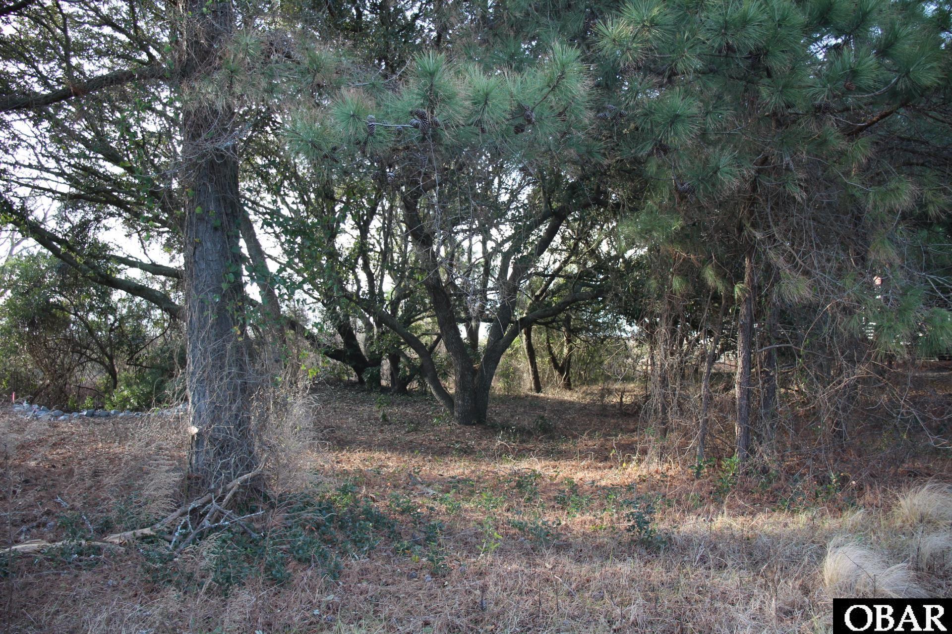 750 Hunt Club Drive, Corolla, NC 27927, ,Lots/land,For sale,Hunt Club Drive,124403