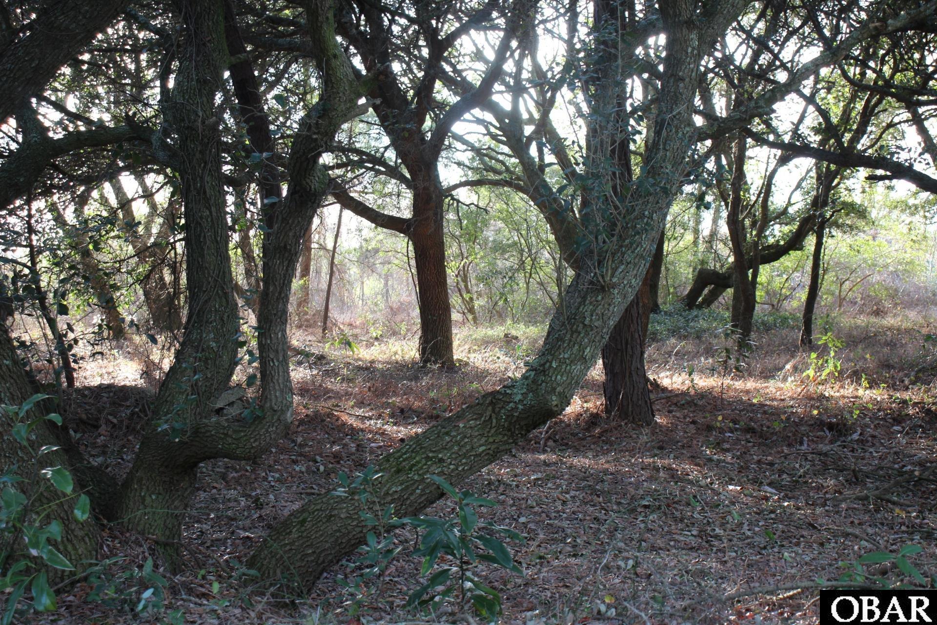 750 Hunt Club Drive, Corolla, NC 27927, ,Lots/land,For sale,Hunt Club Drive,124403