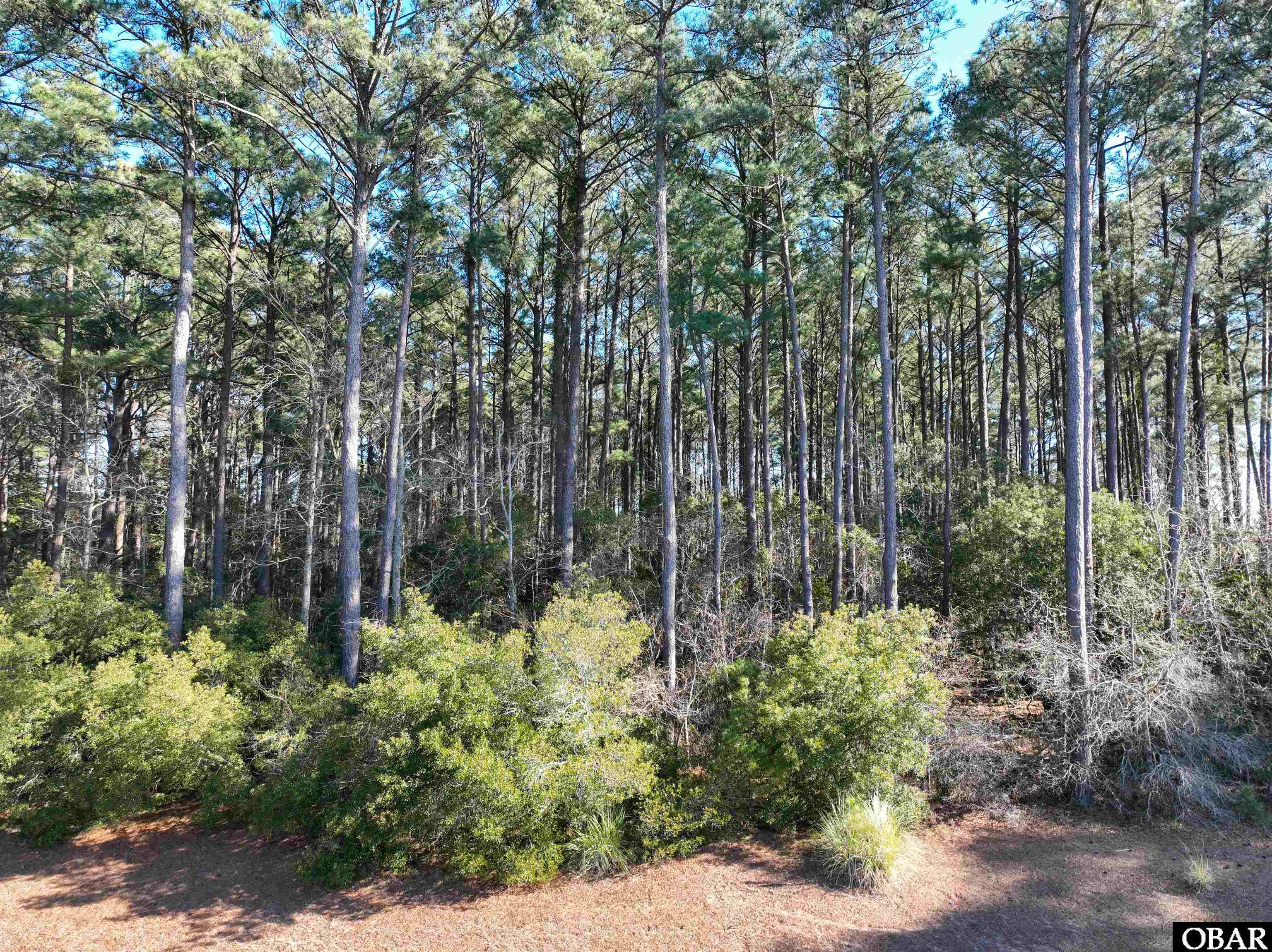 205 Cynthia Court, Harbinger, NC 27941, ,Lots/land,For sale,Cynthia Court,124437