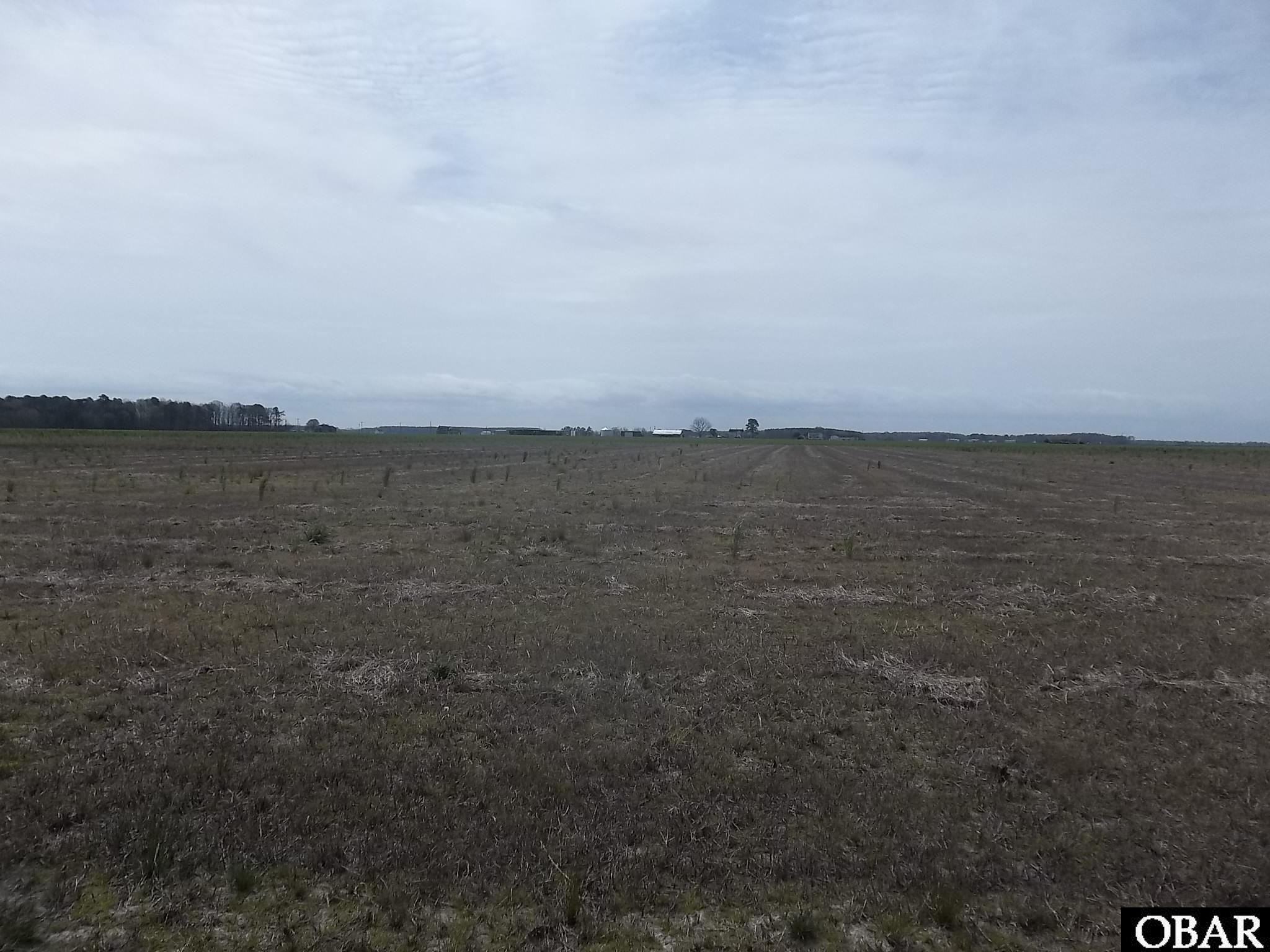 1169 Griff Lane, Elizabeth City, NC 27909, ,Lots/land,For sale,Griff Lane,125091