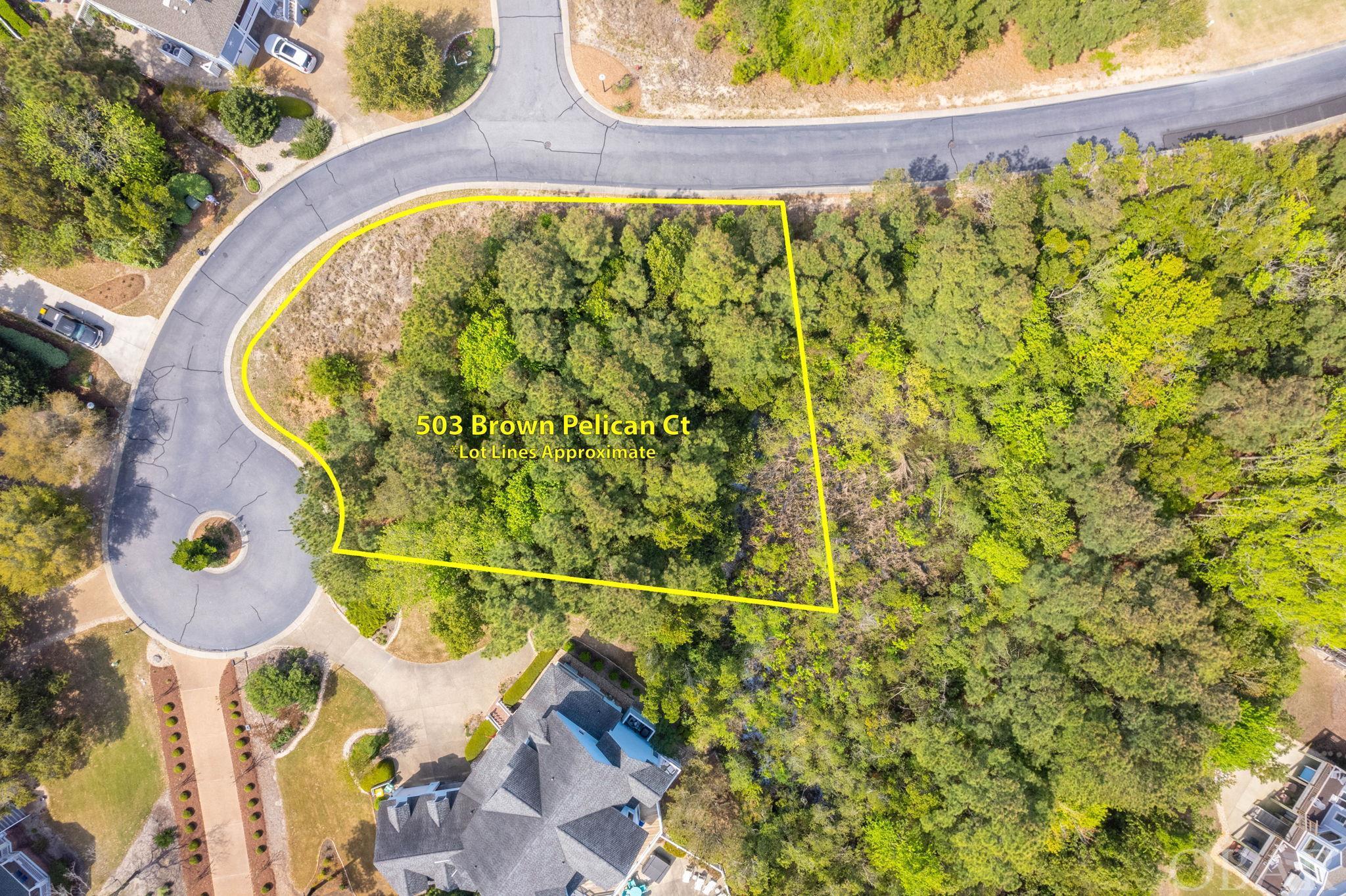 503 Brown Pelican Court, Corolla, NC 27927, ,Lots/land,For sale,Brown Pelican Court,125288