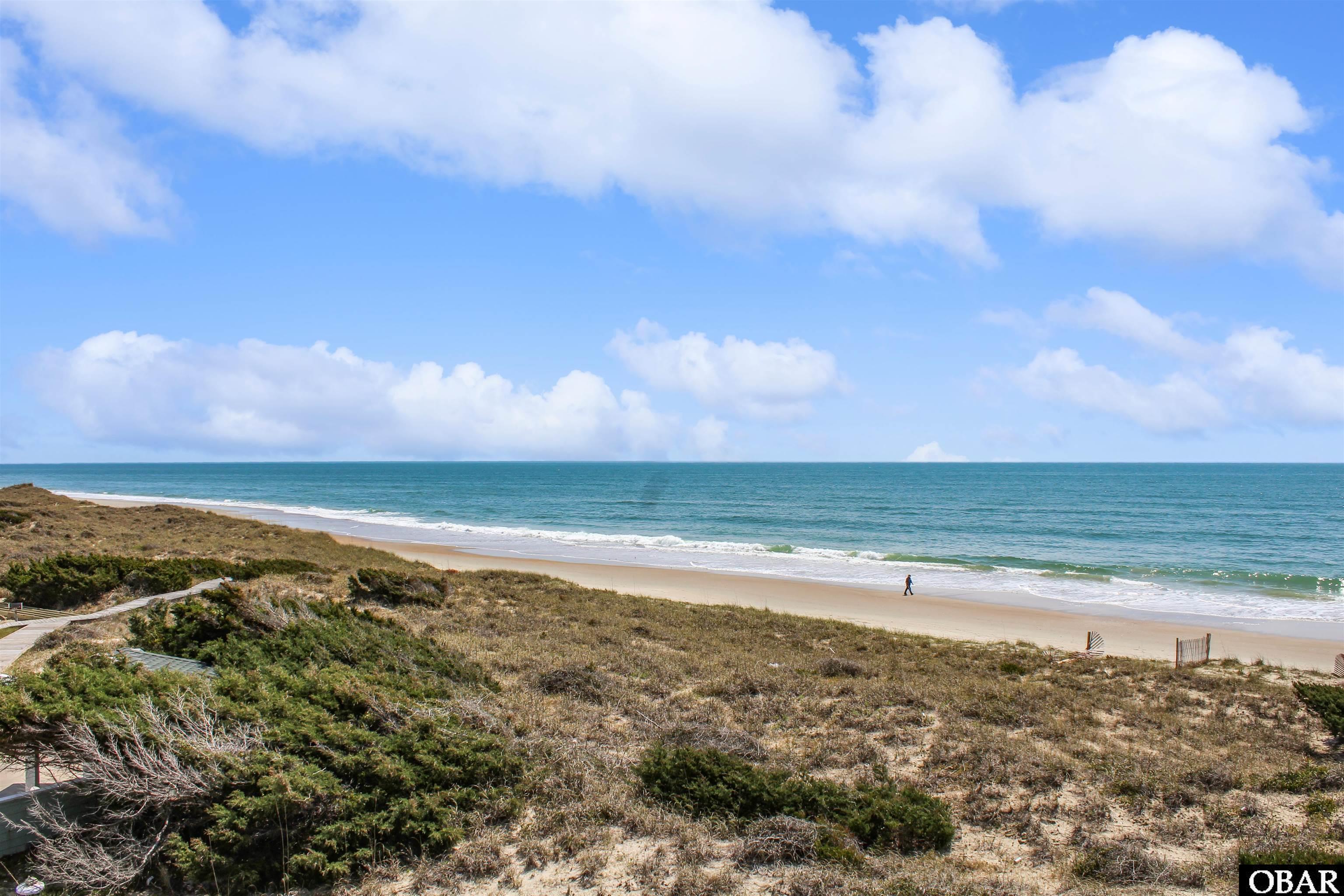 Protective dune vegetation to stabilize the sand and provide protection against erosion caused by wind, waves, and storms.
