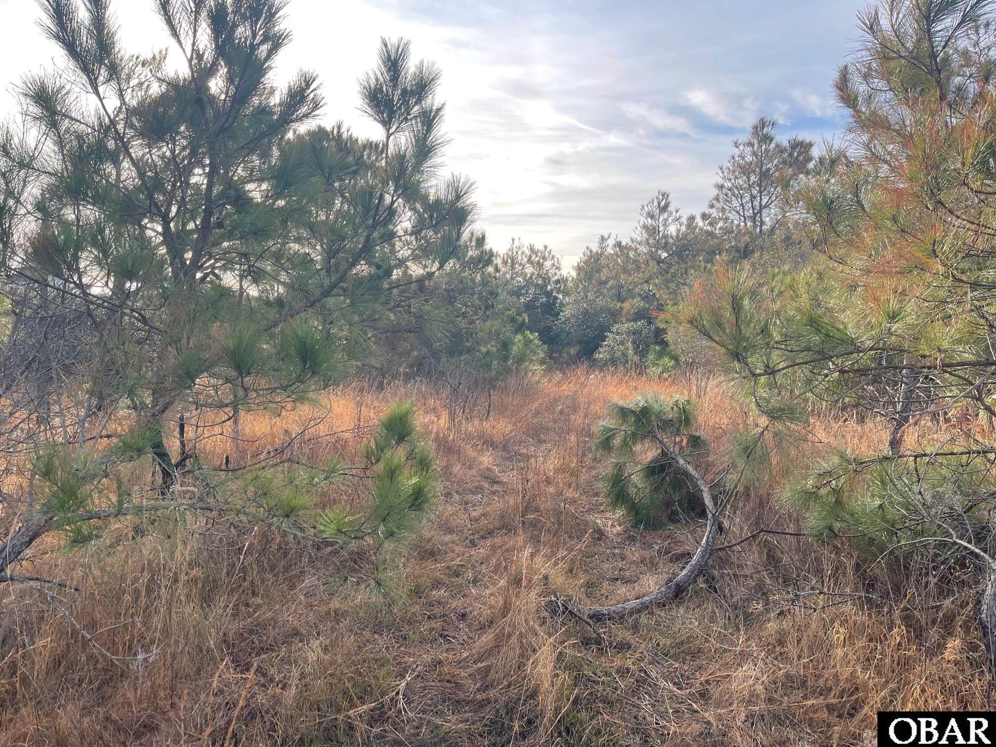 1677 Canal Road, Corolla, NC 27927, ,Lots/land,For sale,Canal Road,125529