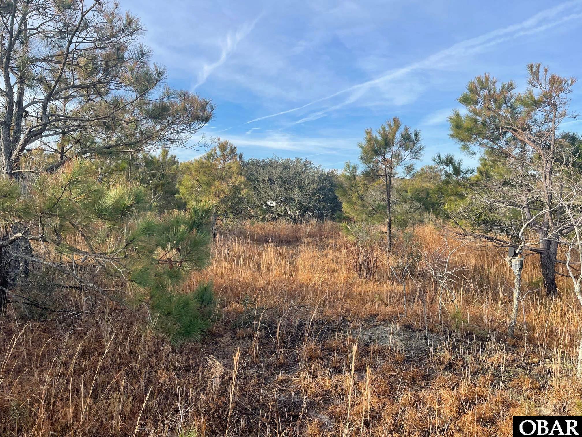 1677 Canal Road, Corolla, NC 27927, ,Lots/land,For sale,Canal Road,125529