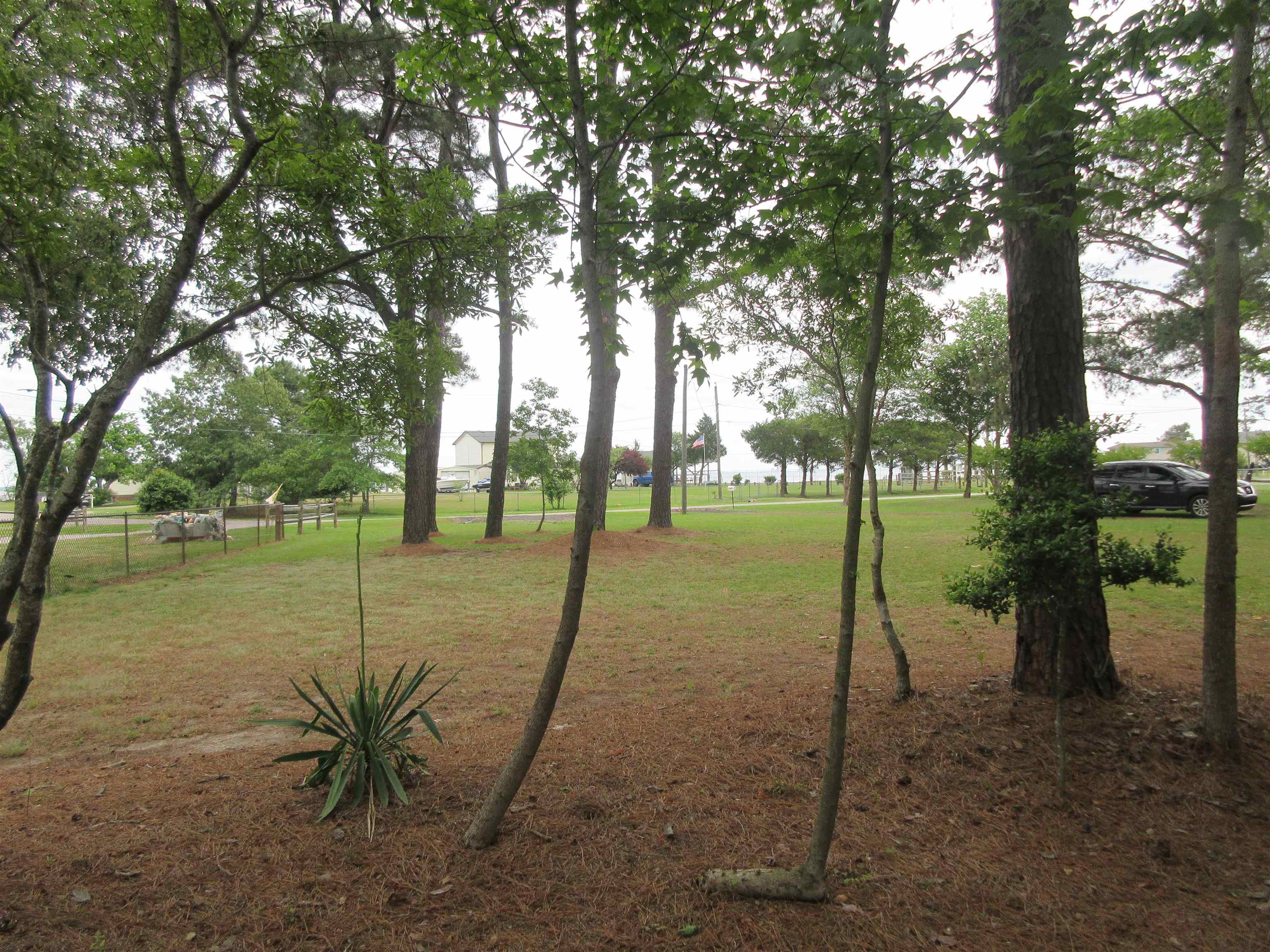 125649 | Photo 1