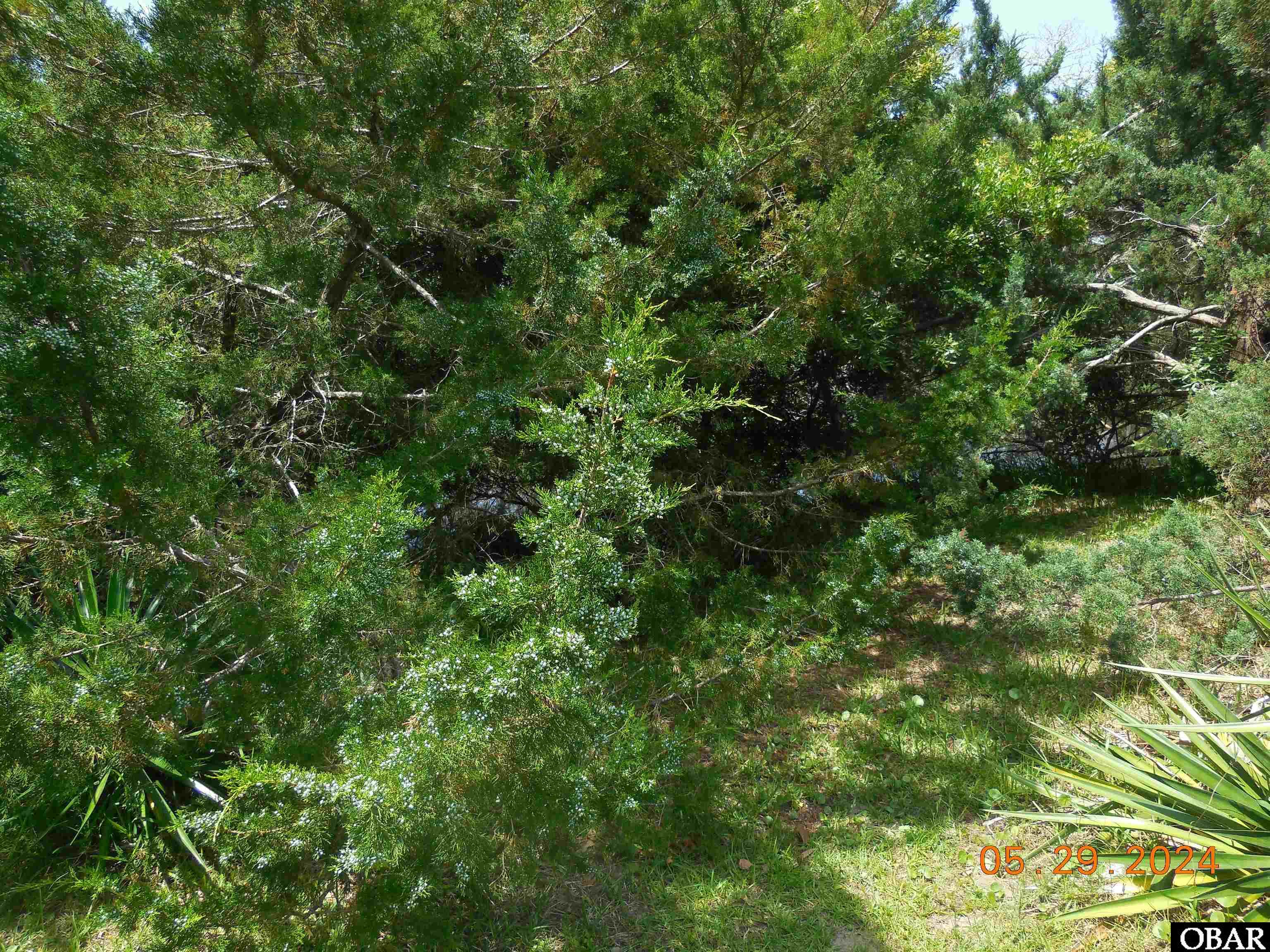 203 British Cemetery Road, Ocracoke, NC 27960, ,Lots/land,For sale,British Cemetery Road,125855