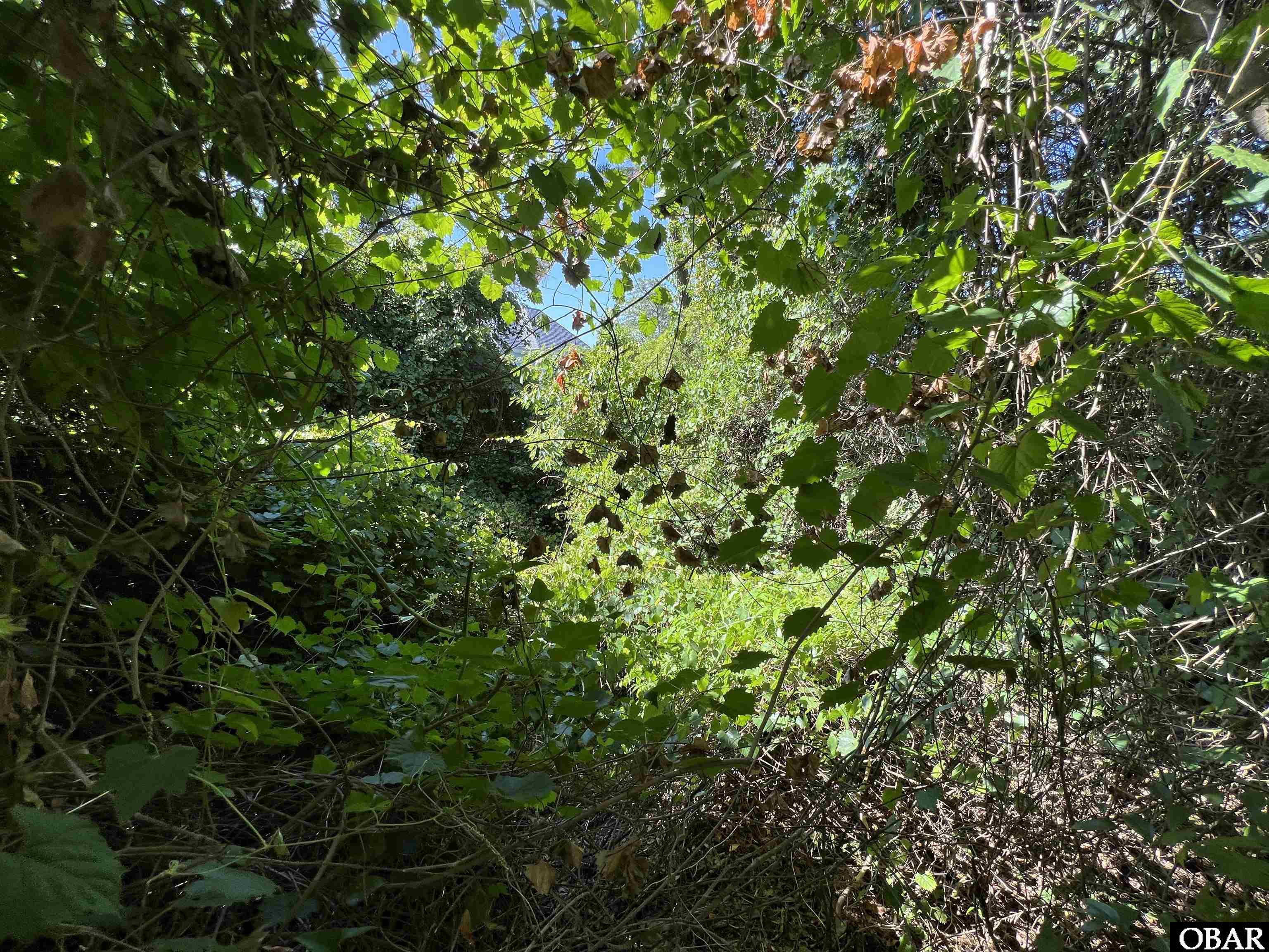 443 Kitty Hawk Bay Drive, Kill Devil Hills, NC 27948, ,Lots/land,For sale,Kitty Hawk Bay Drive,126079