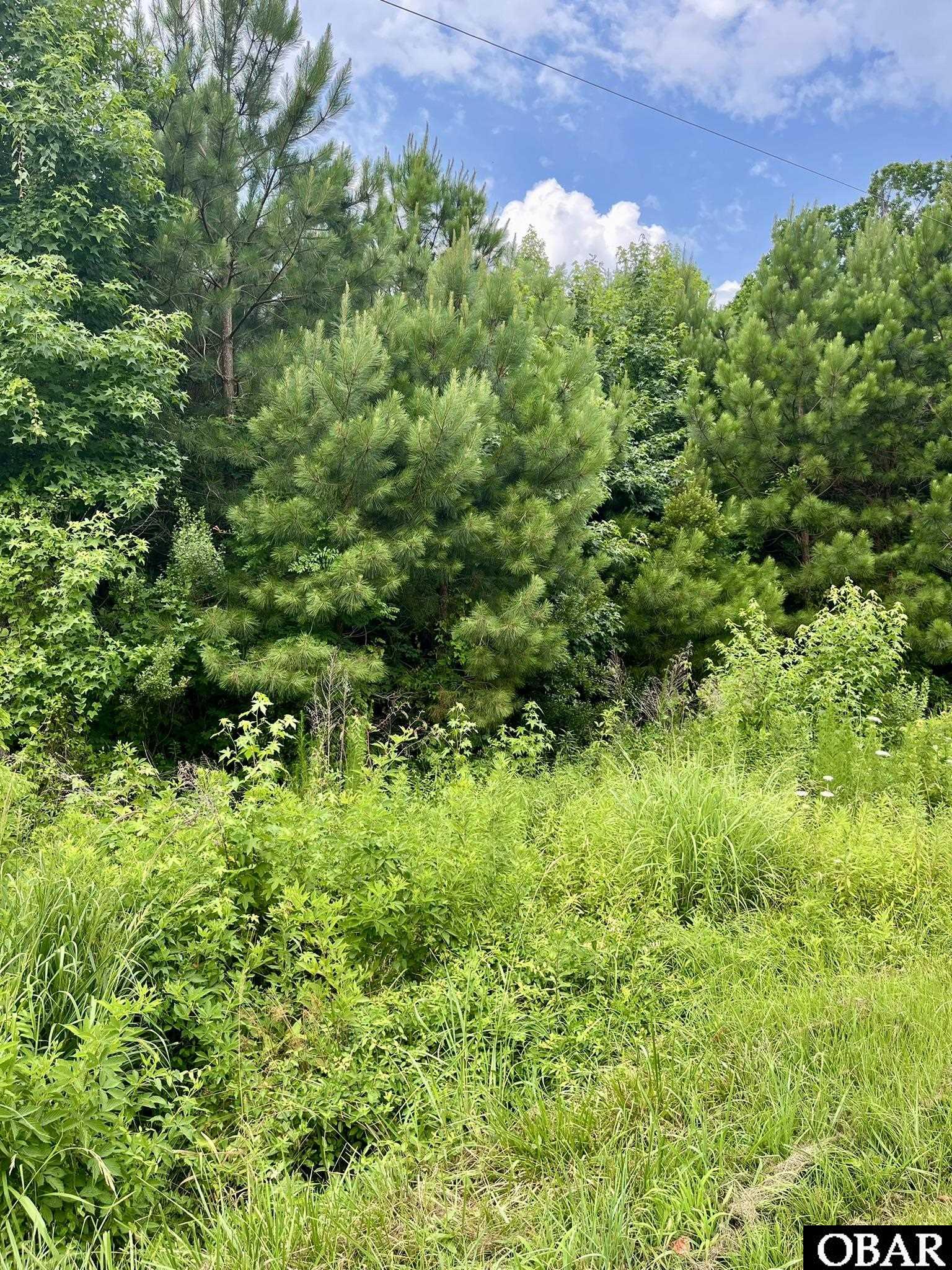0000 Little River Drive, Elizabeth City, NC 27909, ,Lots/land,For sale,Little River Drive,126111