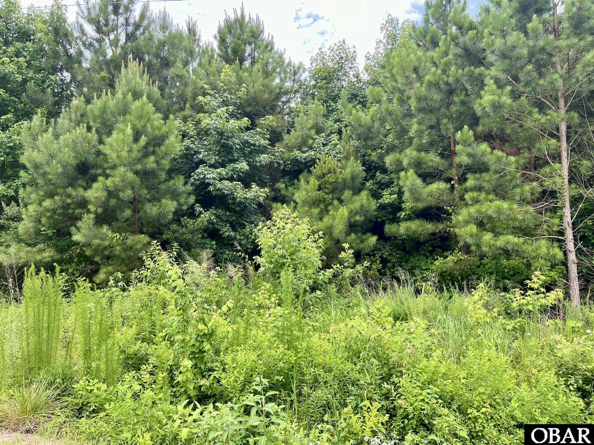 0000 Little River Drive, Elizabeth City, NC 27909, ,Lots/land,For sale,Little River Drive,126111