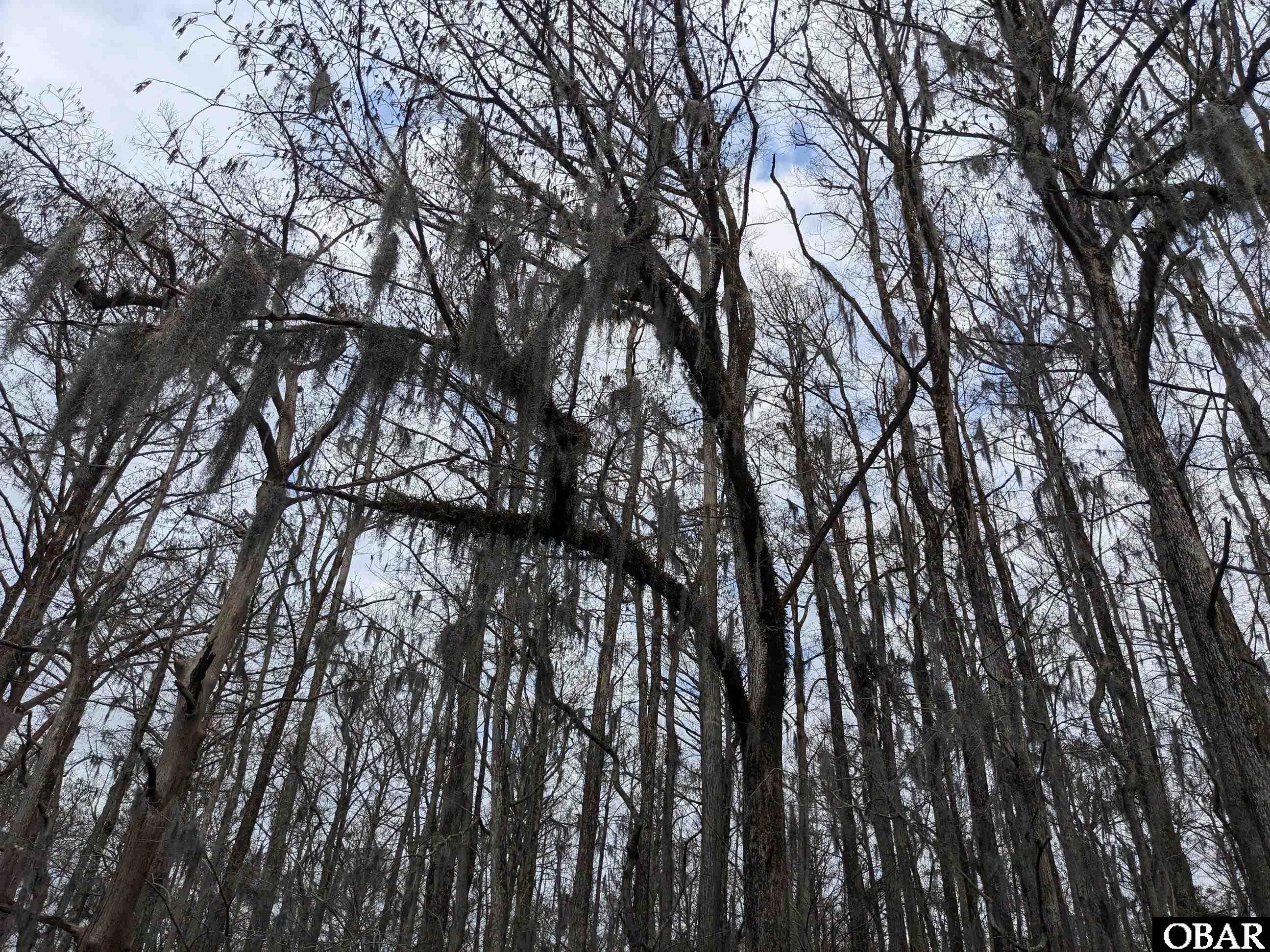 1610 Fox Trail, Edenton, NC 27932, ,Lots/land,For sale,Fox Trail,126186