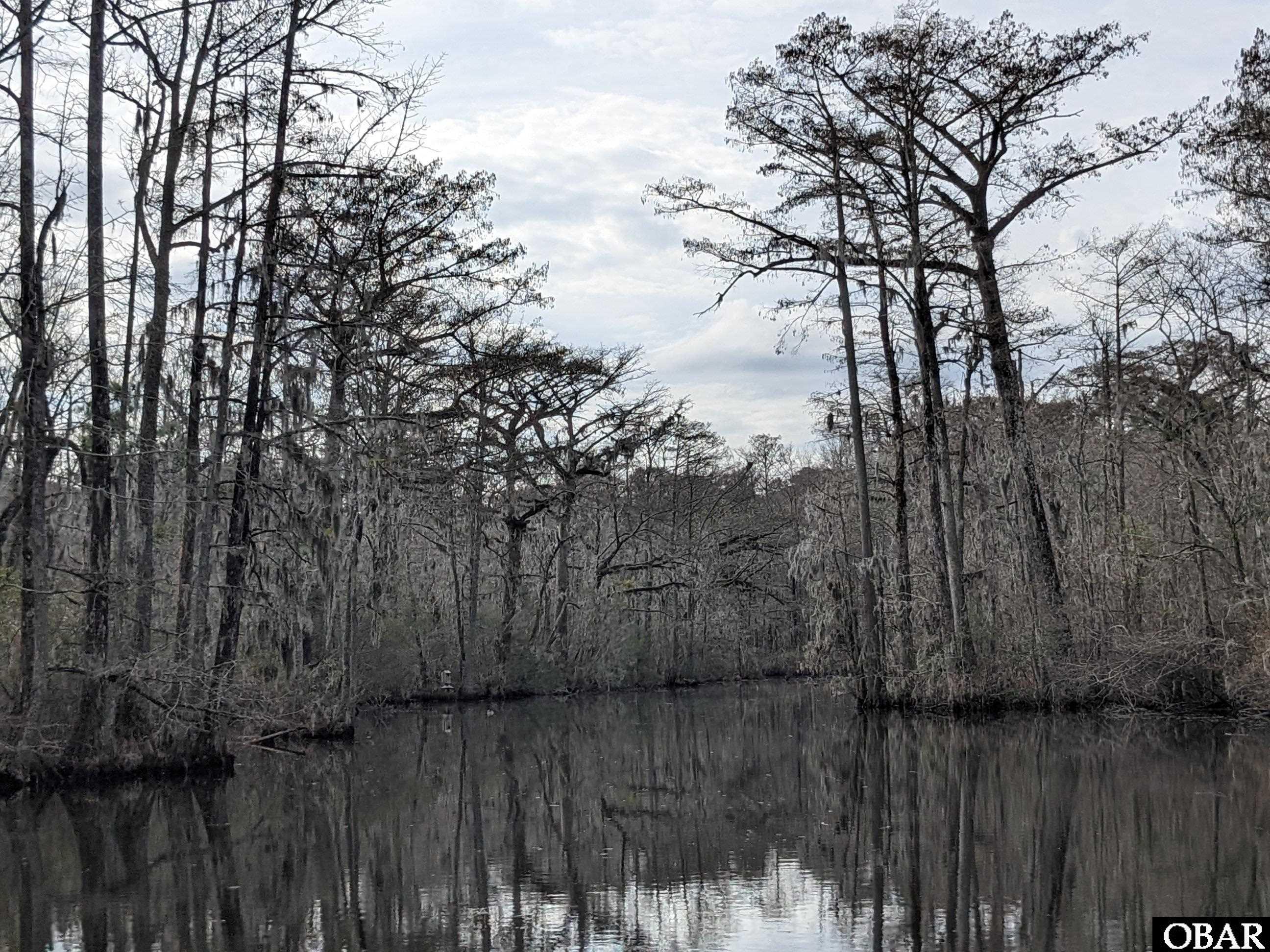 1610 Fox Trail, Edenton, NC 27932, ,Lots/land,For sale,Fox Trail,126186
