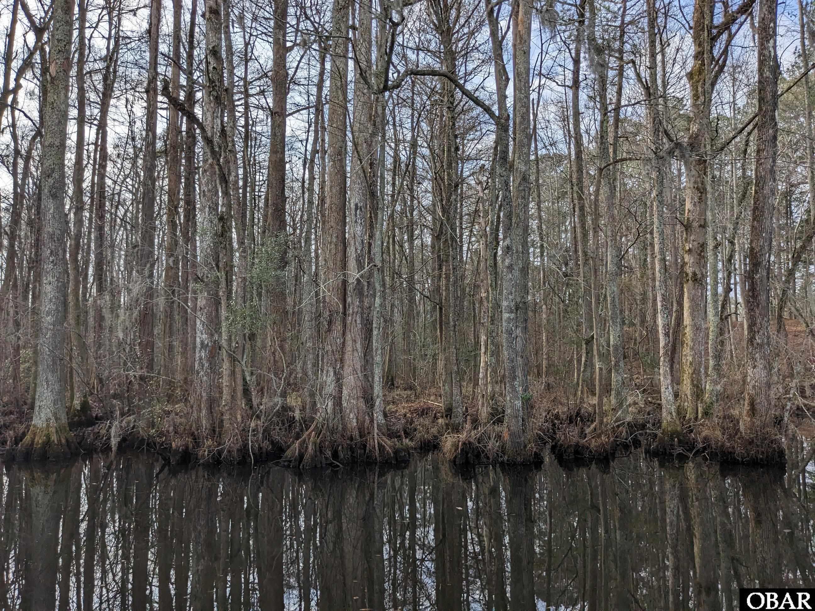 1610 Fox Trail, Edenton, NC 27932, ,Lots/land,For sale,Fox Trail,126186