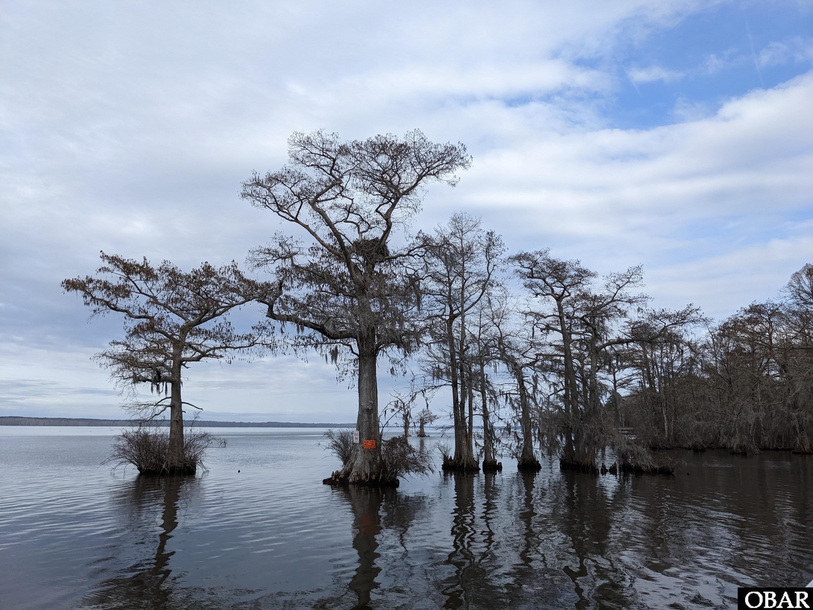 1610 Fox Trail, Edenton, NC 27932, ,Lots/land,For sale,Fox Trail,126186