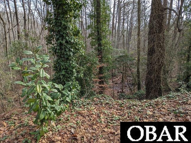 1610 Fox Trail, Edenton, NC 27932, ,Lots/land,For sale,Fox Trail,126186