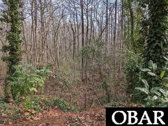 1610 Fox Trail, Edenton, NC 27932, ,Lots/land,For sale,Fox Trail,126186