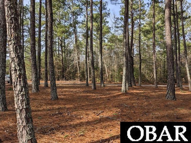 1610 Fox Trail, Edenton, NC 27932, ,Lots/land,For sale,Fox Trail,126186