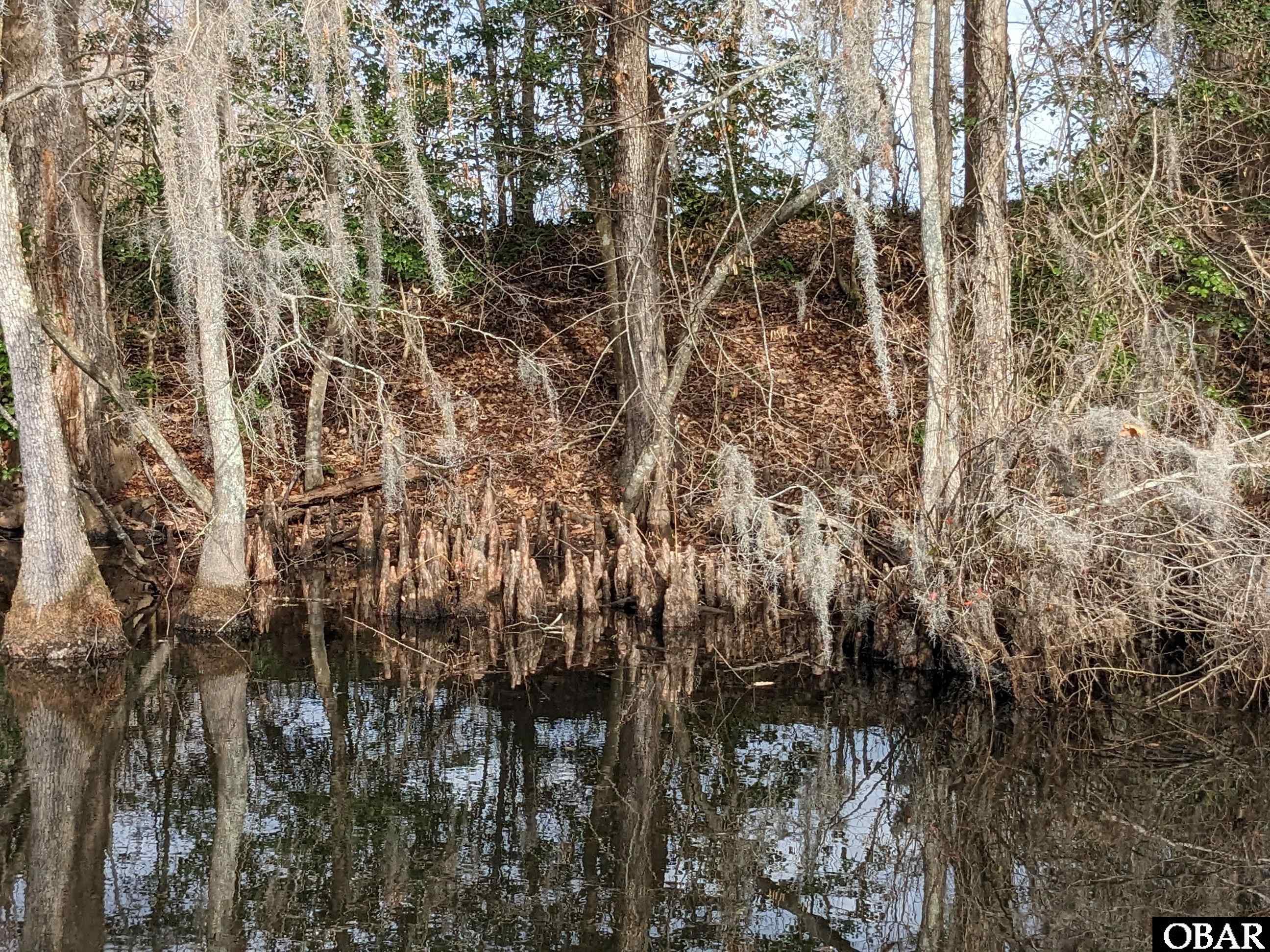 1610 Fox Trail, Edenton, NC 27932, ,Lots/land,For sale,Fox Trail,126186