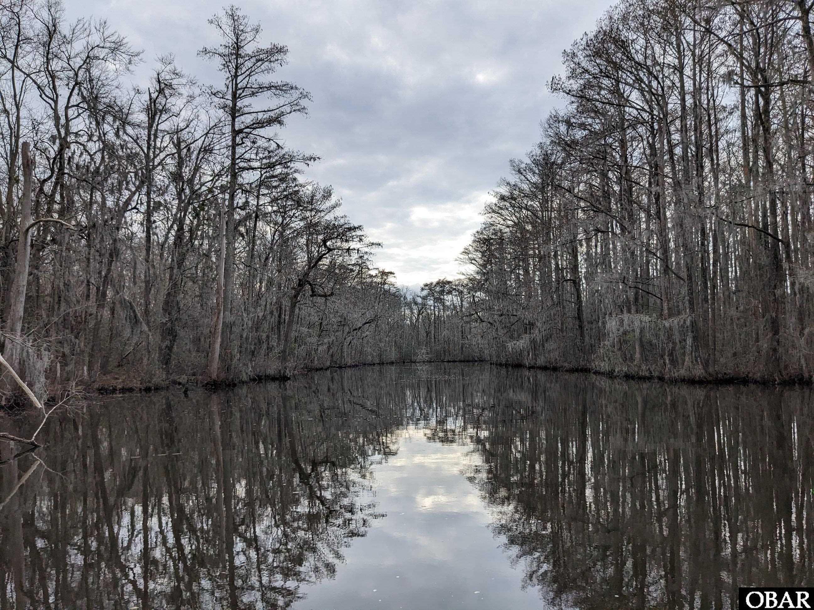 1610 Fox Trail, Edenton, NC 27932, ,Lots/land,For sale,Fox Trail,126186