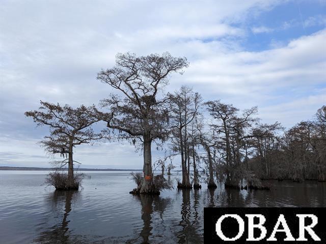1605 Fox Trail, Edenton, NC 27932, ,Lots/land,For sale,Fox Trail,126189