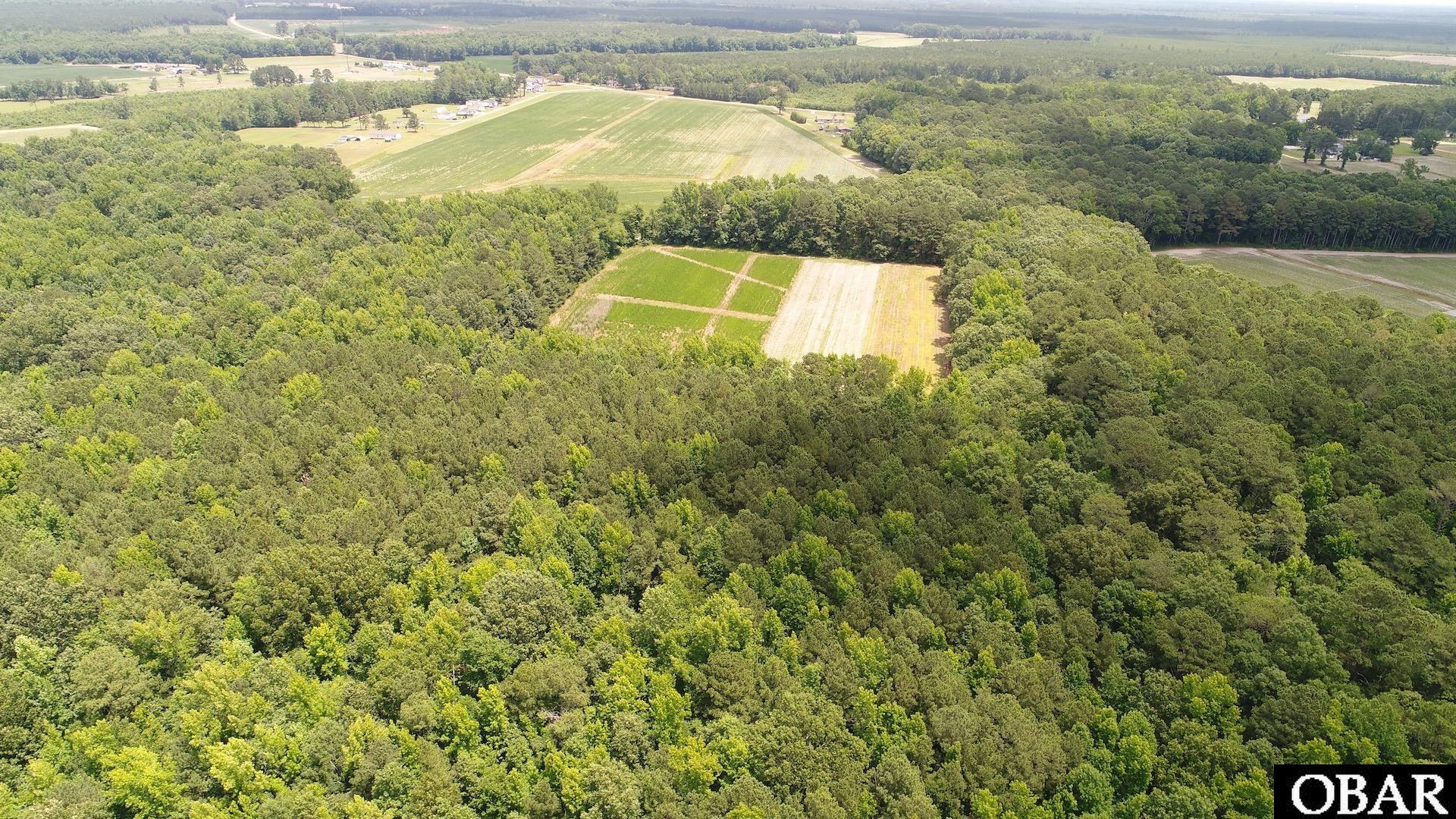 2205 US HWY 13, Ahoskie, NC 27944, ,Lots/land,For sale,US HWY 13,126322