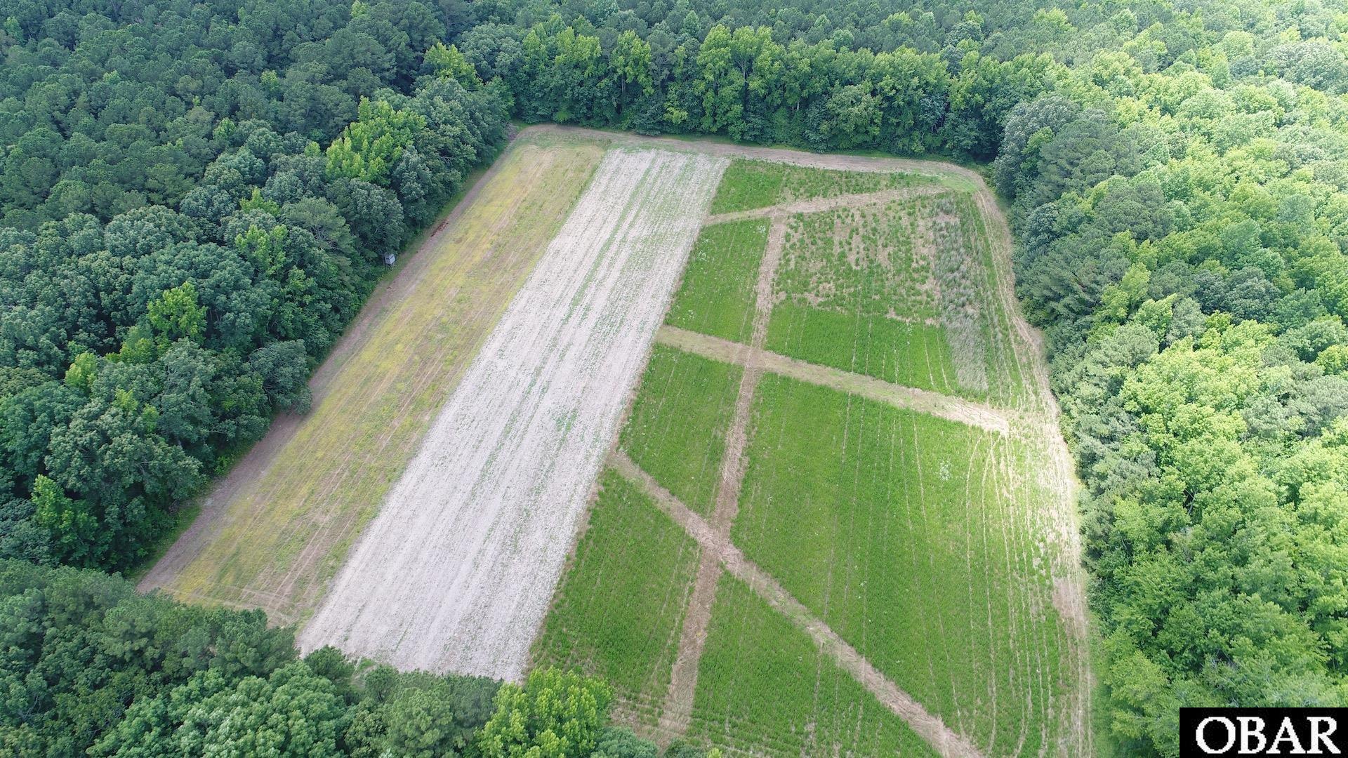 2205 US HWY 13, Ahoskie, NC 27944, ,Lots/land,For sale,US HWY 13,126322