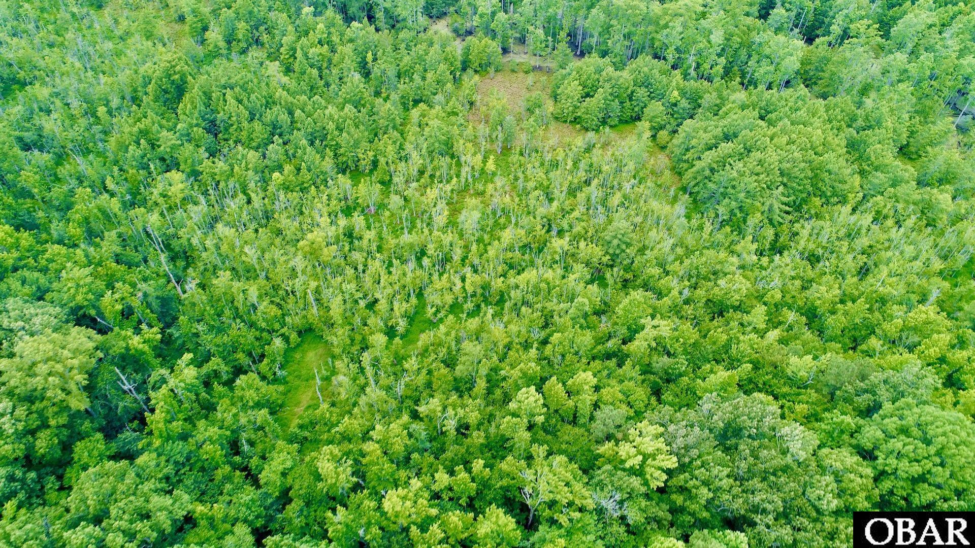 2205 US HWY 13, Ahoskie, NC 27944, ,Lots/land,For sale,US HWY 13,126322