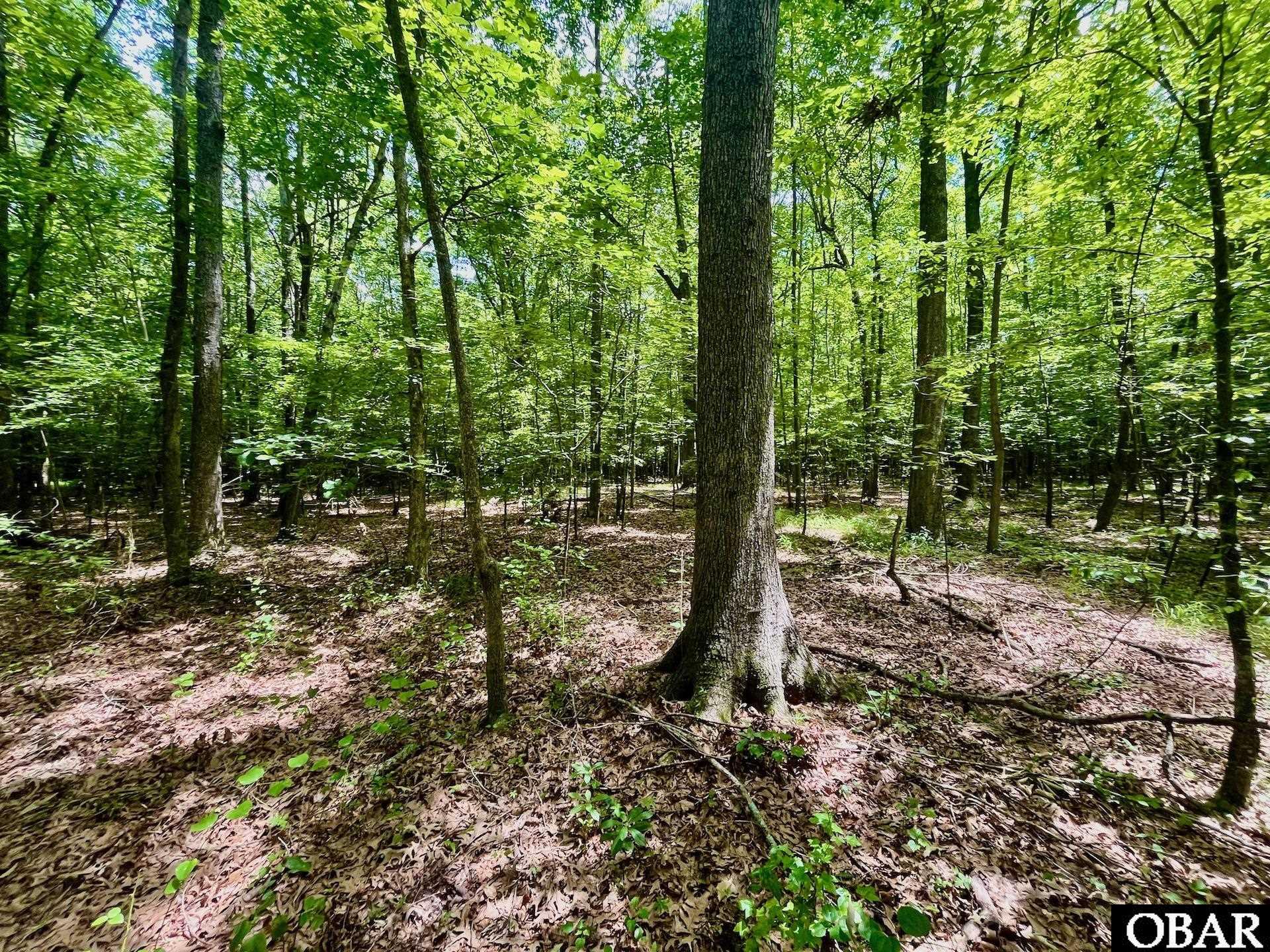 2205 US HWY 13, Ahoskie, NC 27944, ,Lots/land,For sale,US HWY 13,126322