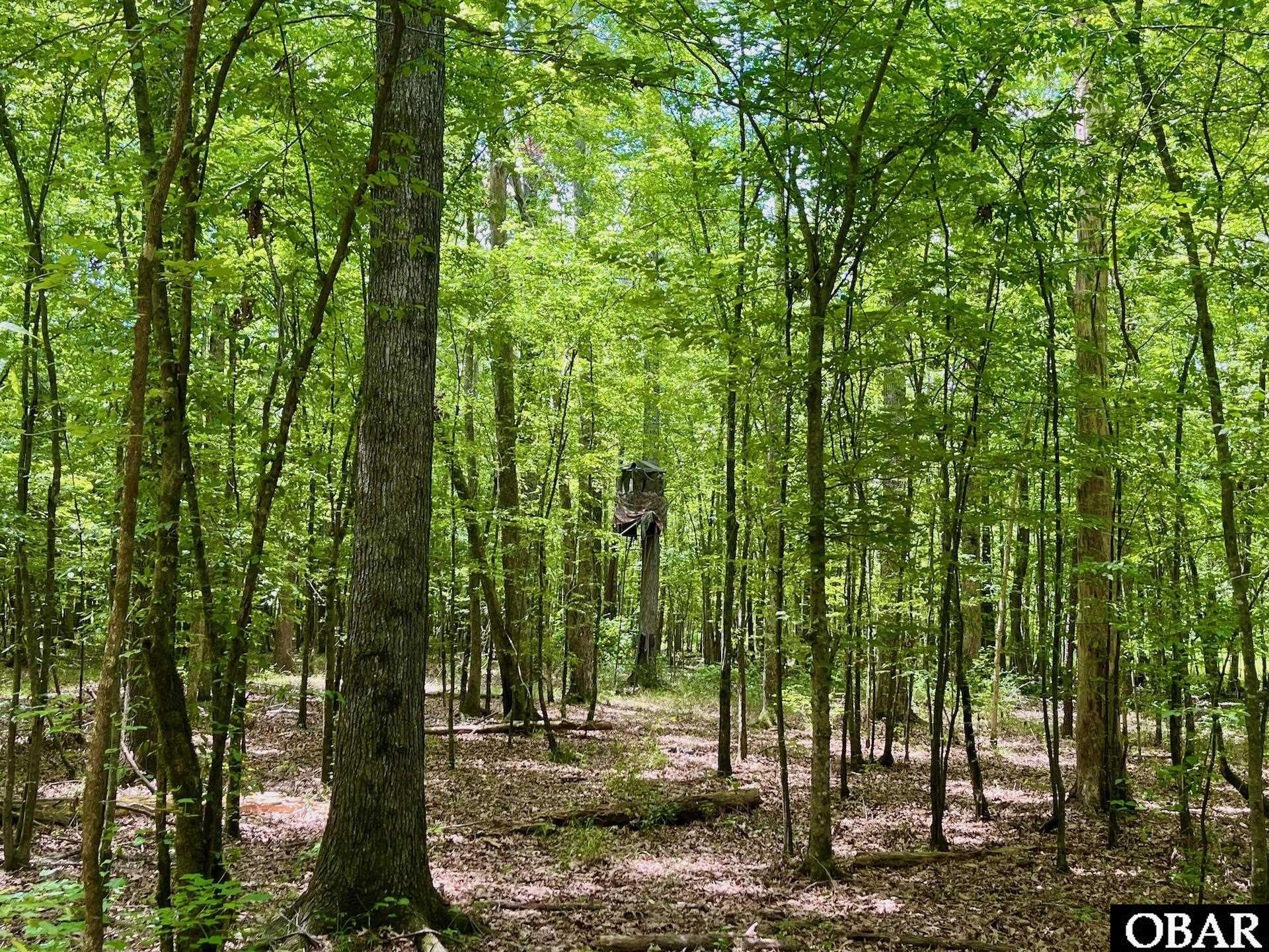 2205 US HWY 13, Ahoskie, NC 27944, ,Lots/land,For sale,US HWY 13,126322