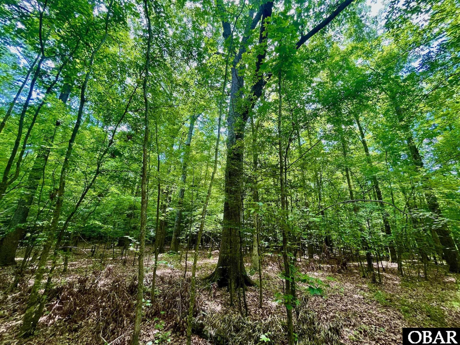 2205 US HWY 13, Ahoskie, NC 27944, ,Lots/land,For sale,US HWY 13,126322