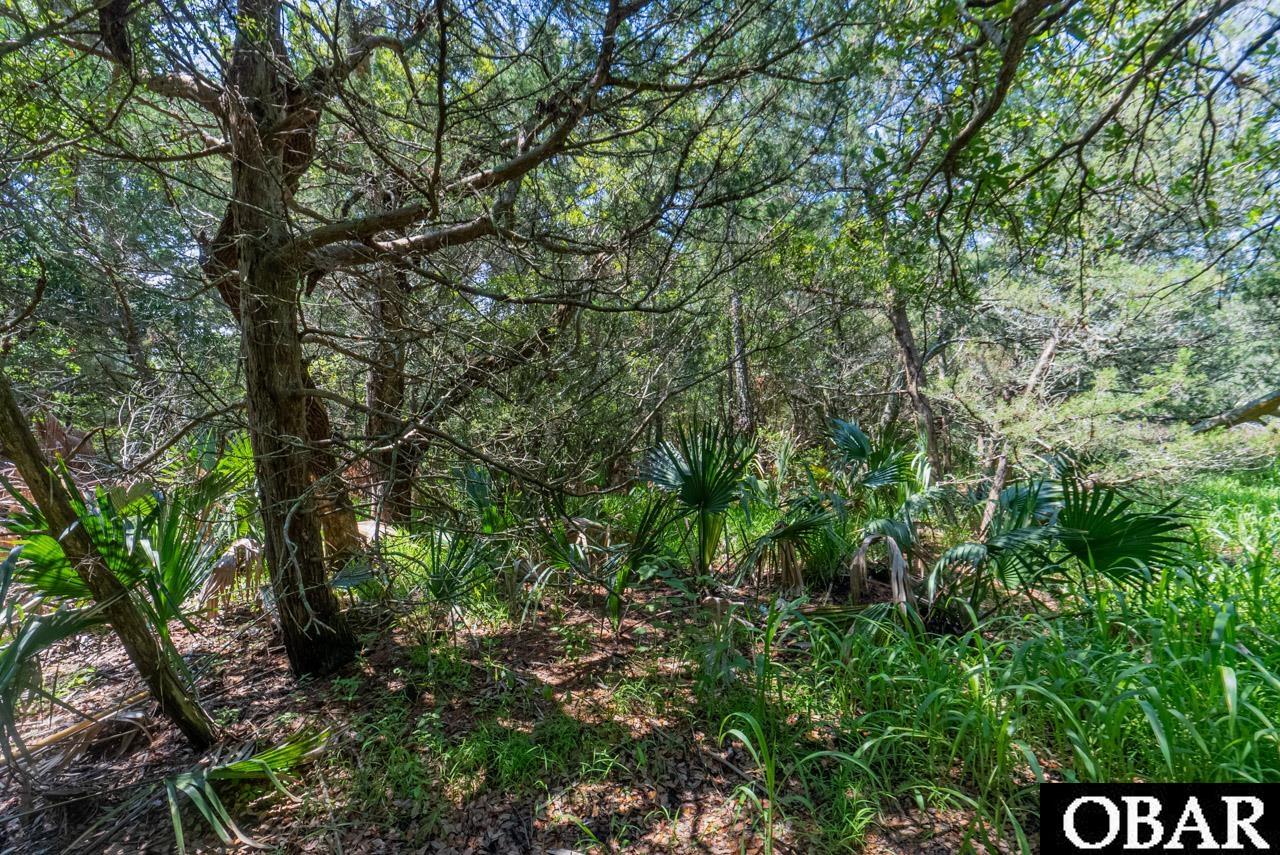 0 Rocky Rollinson Road, Buxton, NC 27920, ,Lots/land,For sale,Rocky Rollinson Road,126330