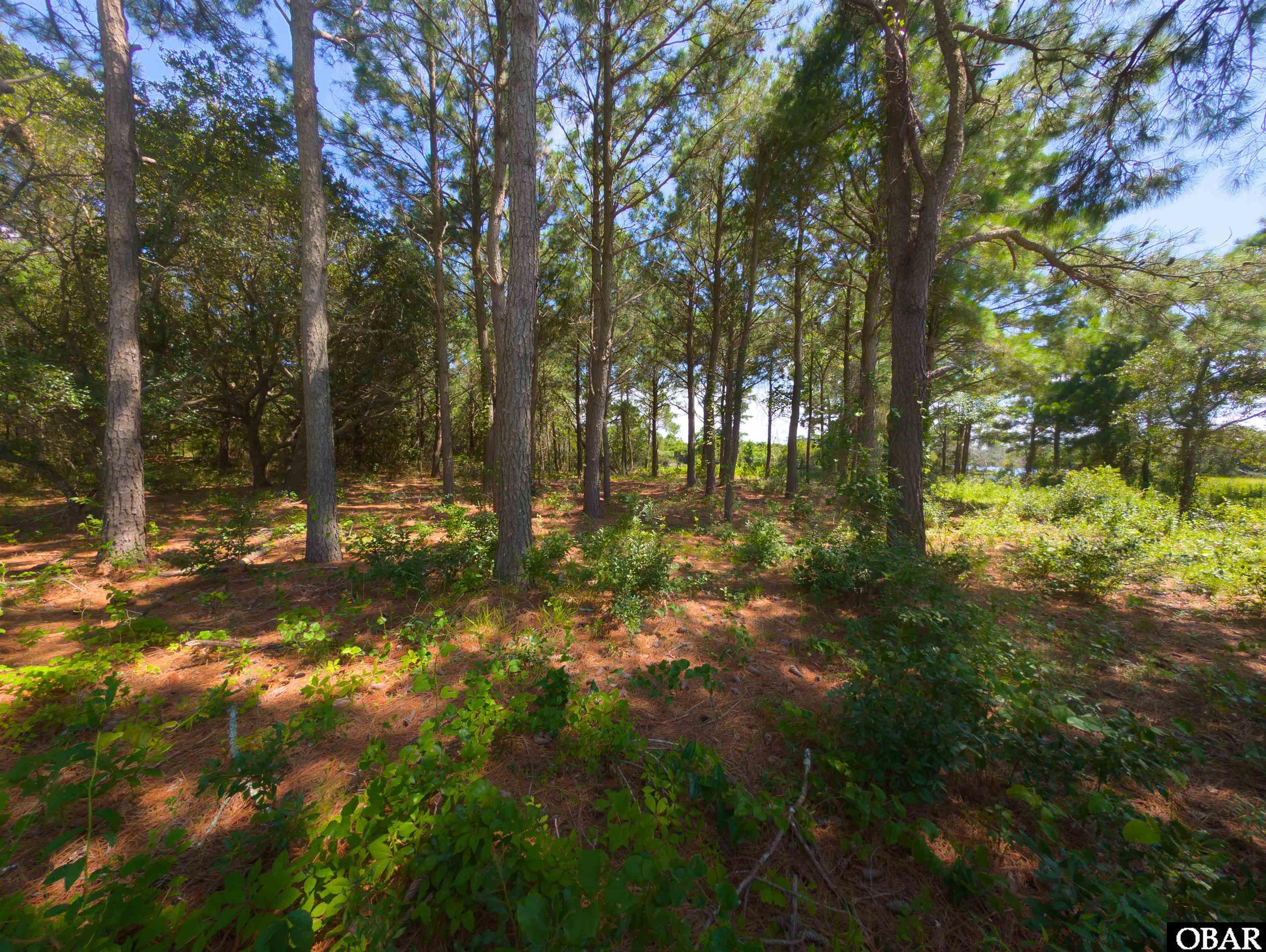918 Plover Court, Corolla, NC 27927, ,Lots/land,For sale,Plover Court,126392