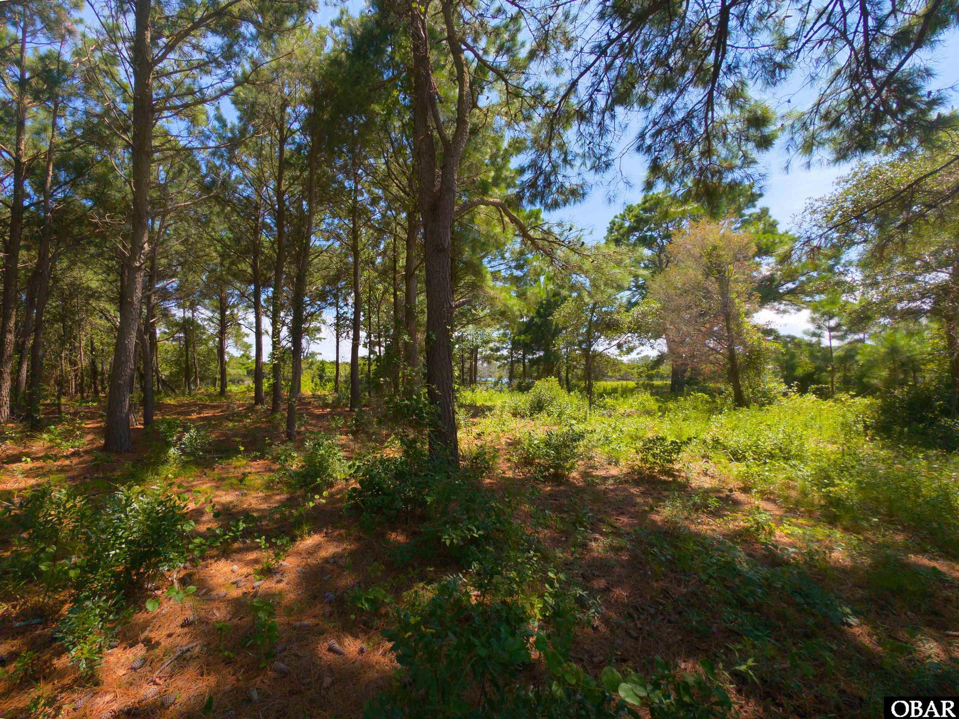 918 Plover Court, Corolla, NC 27927, ,Lots/land,For sale,Plover Court,126392