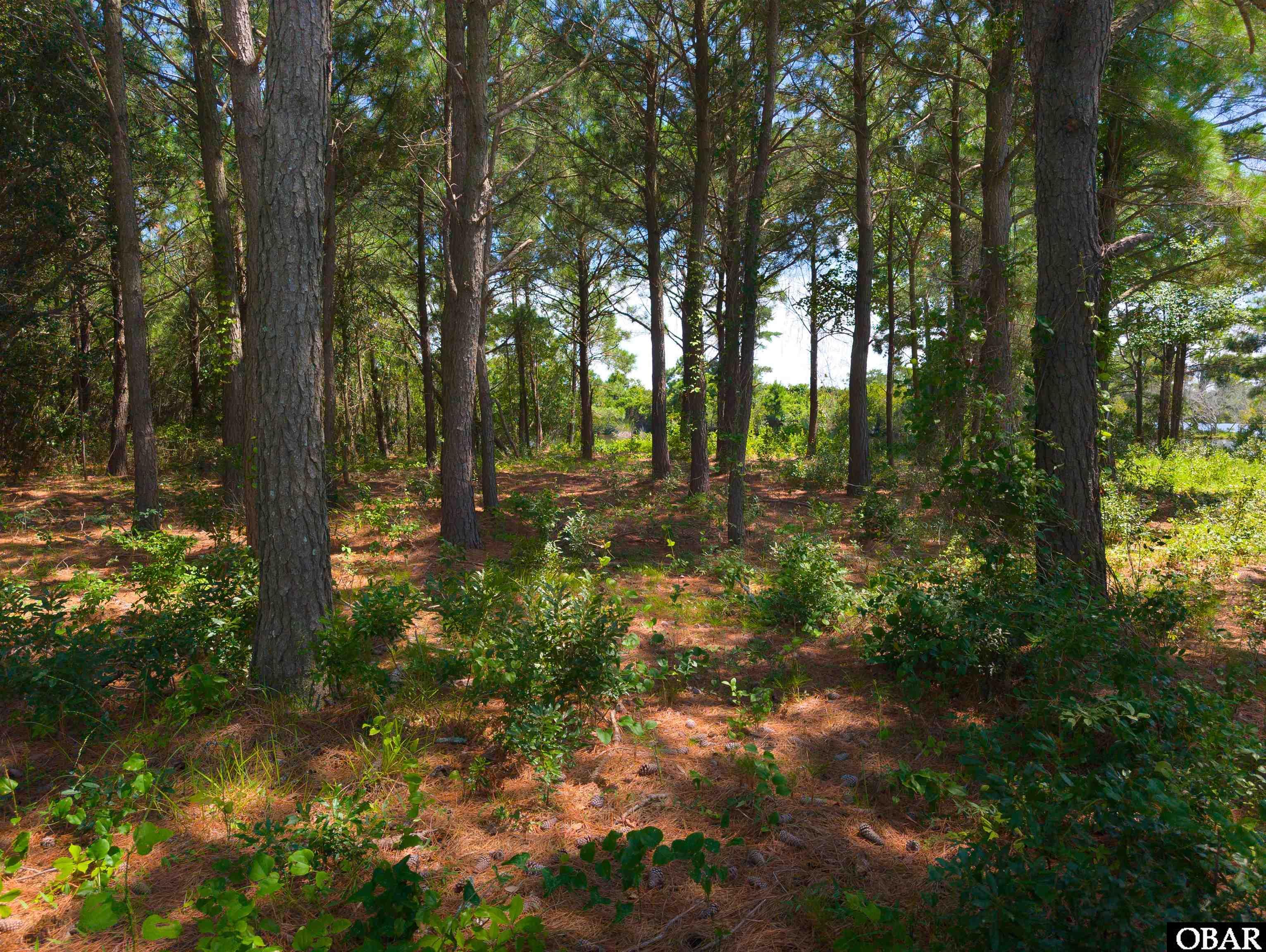 918 Plover Court, Corolla, NC 27927, ,Lots/land,For sale,Plover Court,126392