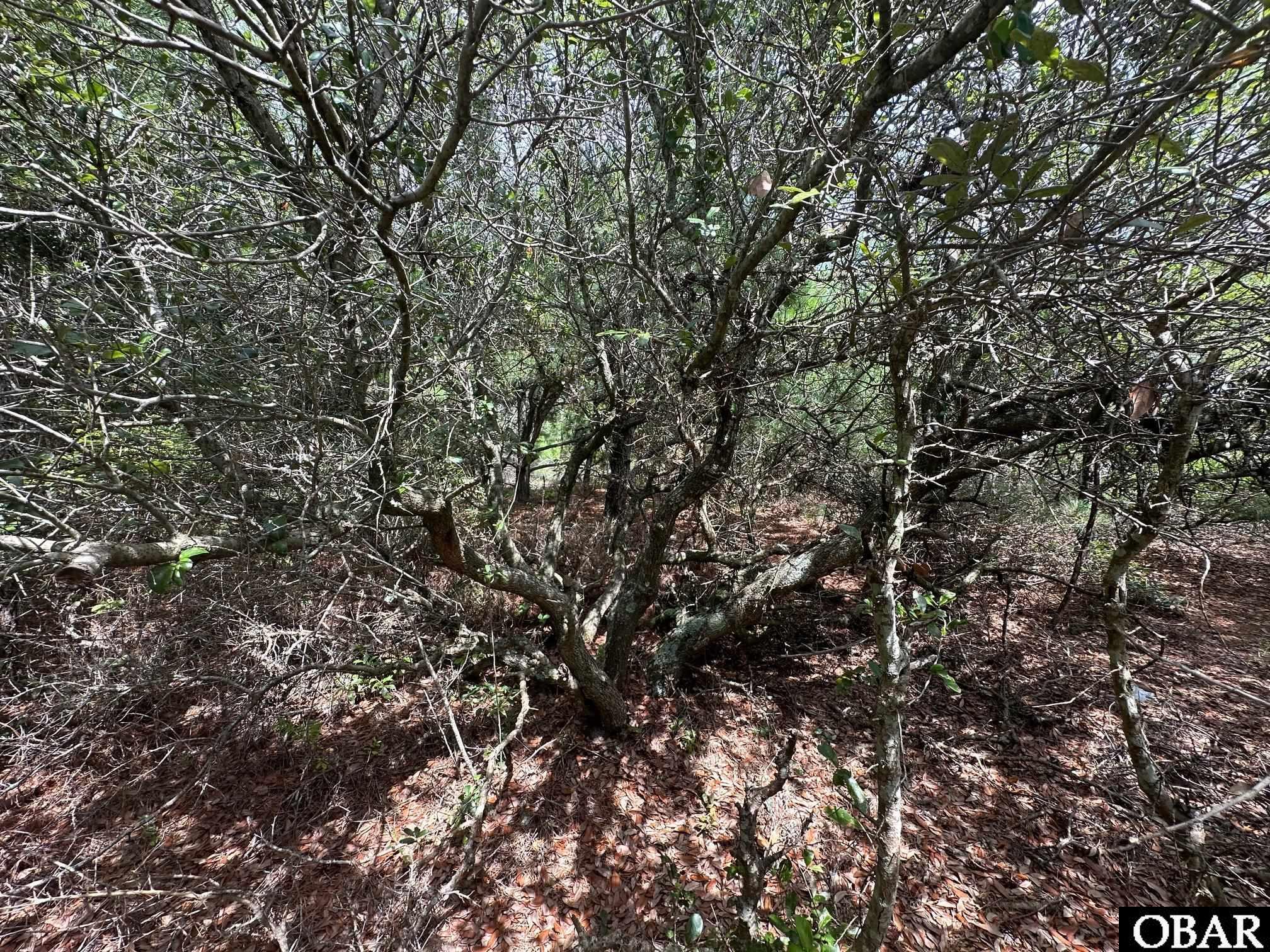 1975 Ocean Pearl Road, Corolla, NC 27927, ,Lots/land,For sale,Ocean Pearl Road,126417