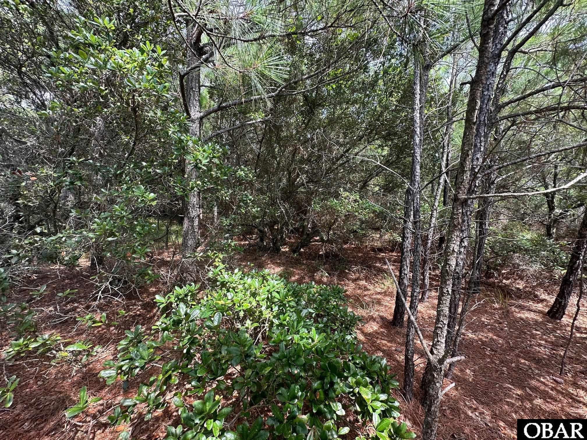 1975 Ocean Pearl Road, Corolla, NC 27927, ,Lots/land,For sale,Ocean Pearl Road,126417