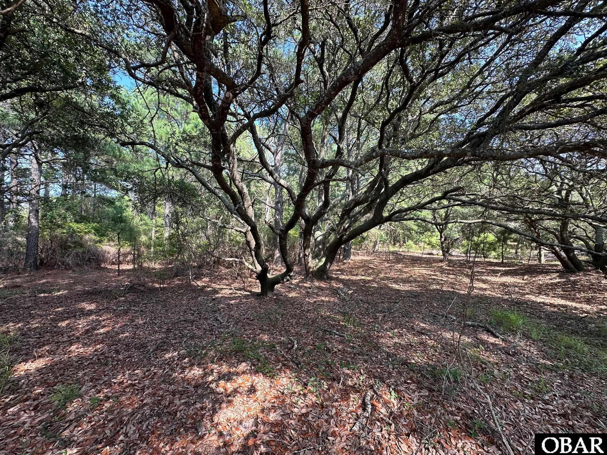 2303 False Cape Road, Corolla, NC 27927, ,Lots/land,For sale,False Cape Road,126492