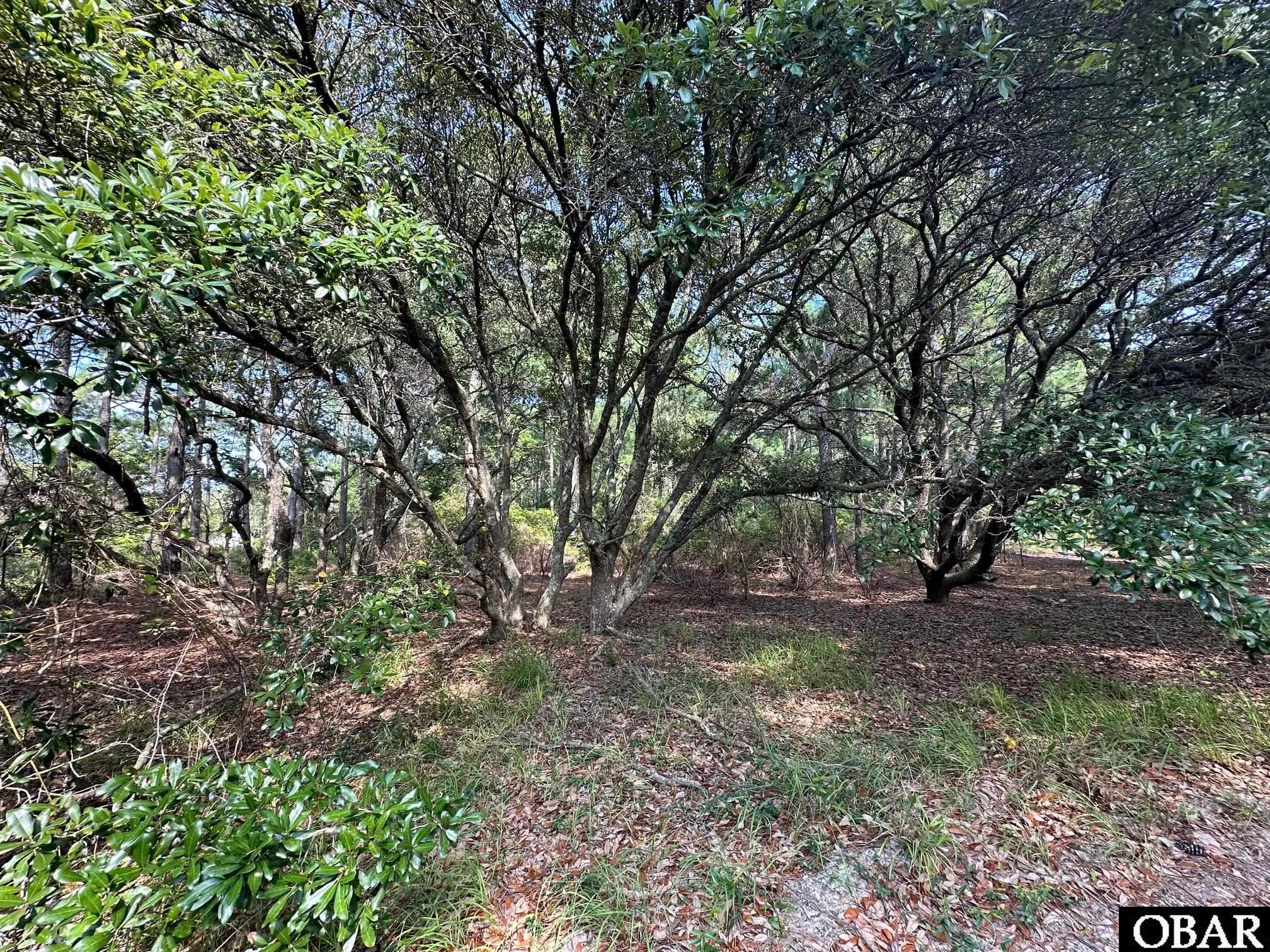 2303 False Cape Road, Corolla, NC 27927, ,Lots/land,For sale,False Cape Road,126492
