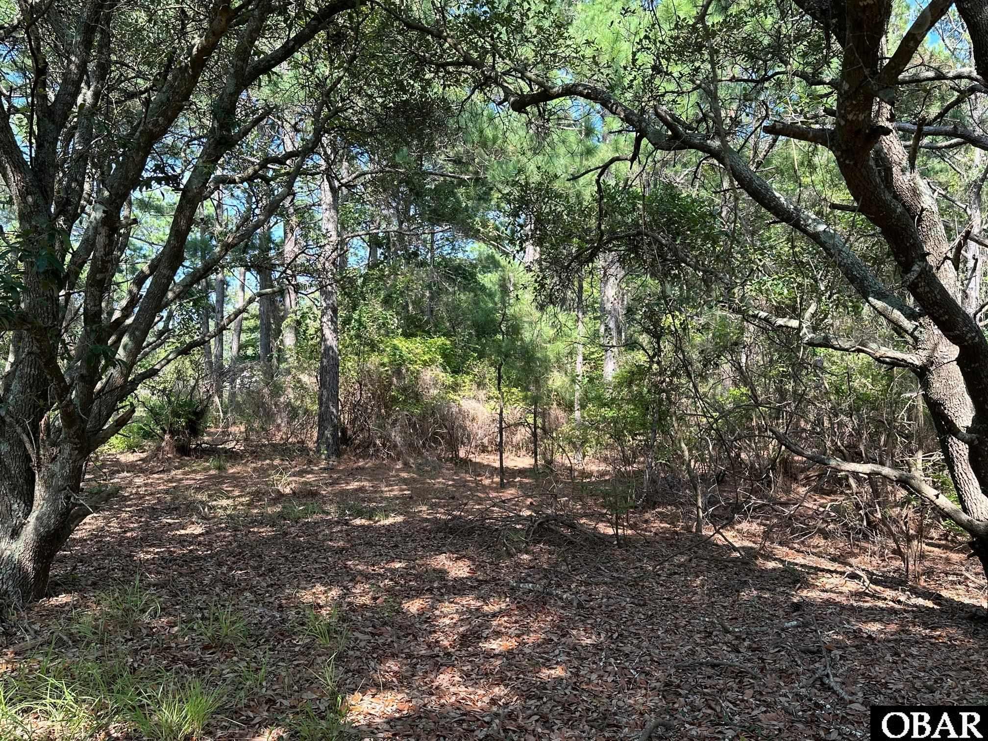 2303 False Cape Road, Corolla, NC 27927, ,Lots/land,For sale,False Cape Road,126492