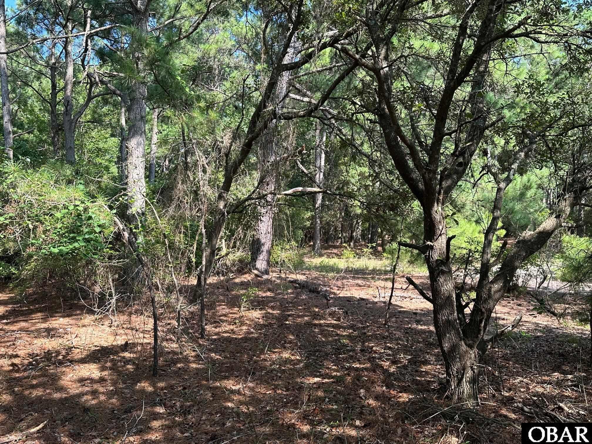 2303 False Cape Road, Corolla, NC 27927, ,Lots/land,For sale,False Cape Road,126492