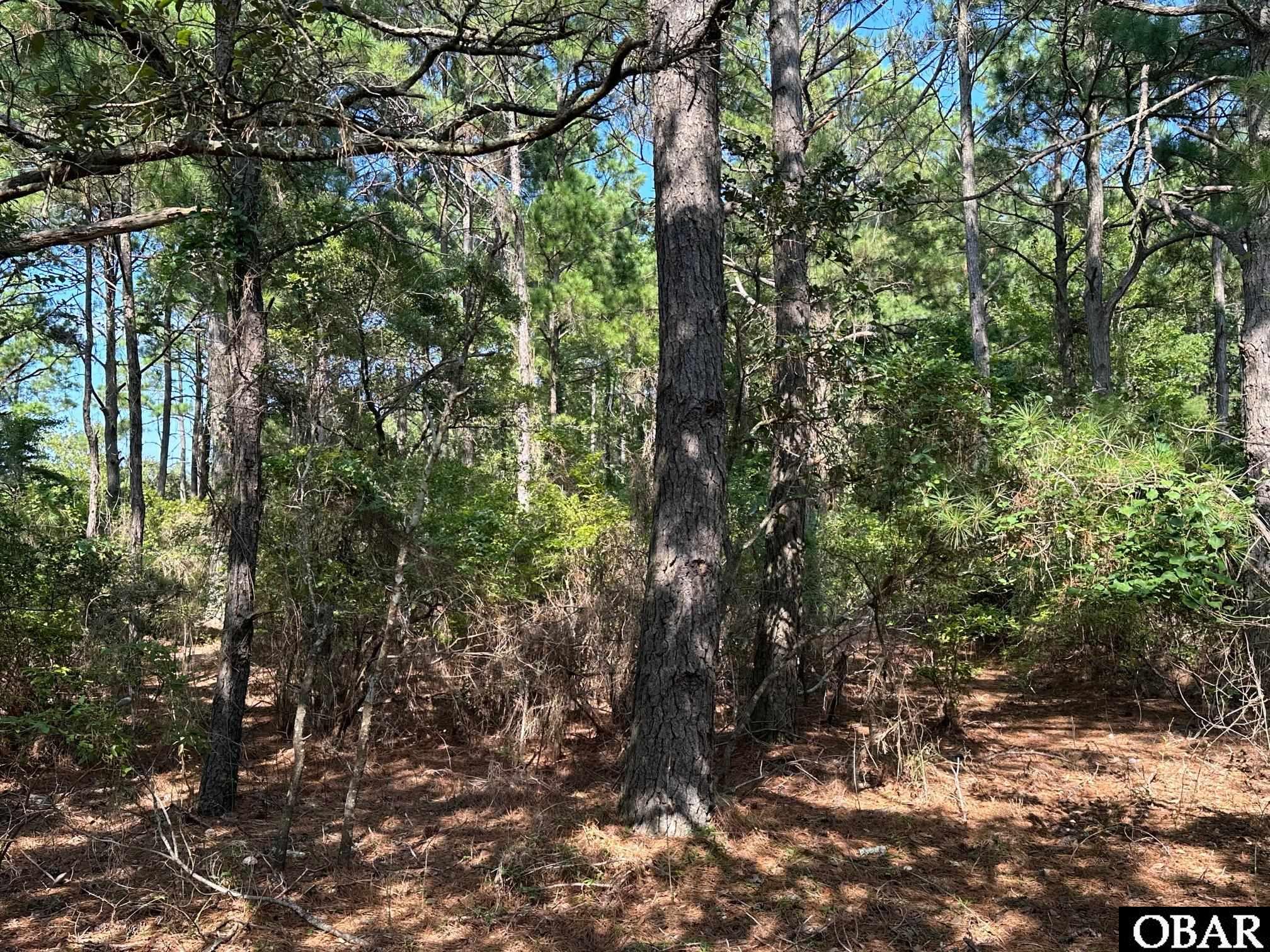 2303 False Cape Road, Corolla, NC 27927, ,Lots/land,For sale,False Cape Road,126492