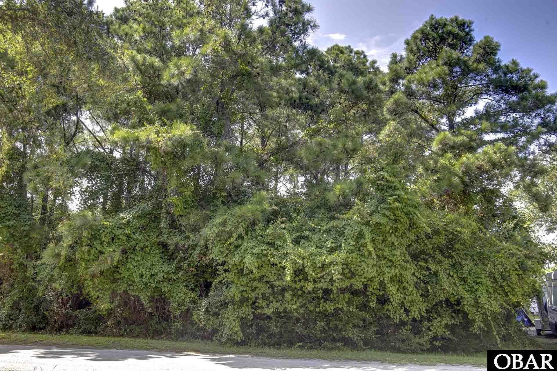 0 Piney Ridge Road, Frisco, NC 27936, ,Lots/land,For sale,Piney Ridge Road,126544