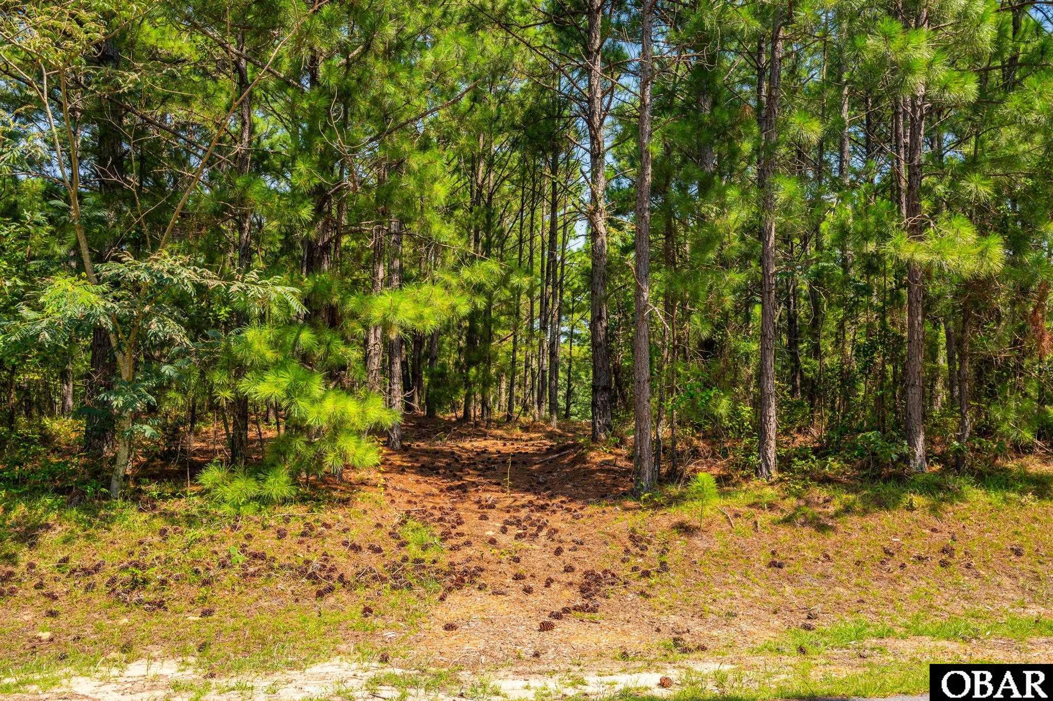 115-B Jarvis Landing, Jarvisburg, NC 27947, 3 Bedrooms Bedrooms, ,2 BathroomsBathrooms,Residential,For sale,Jarvis Landing,126641
