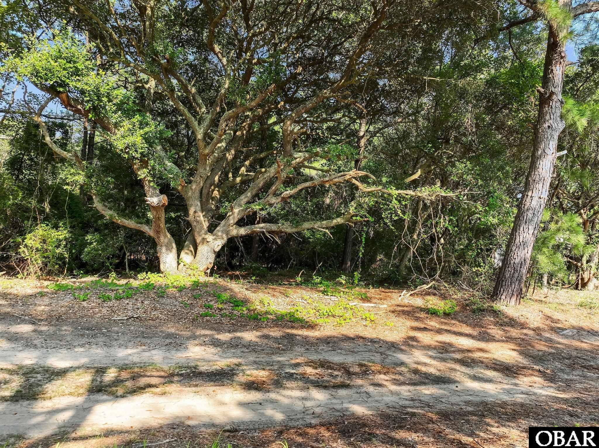 2379 Carova Road, Currituck, NC 27927, ,Lots/land,For sale,Carova Road,126690